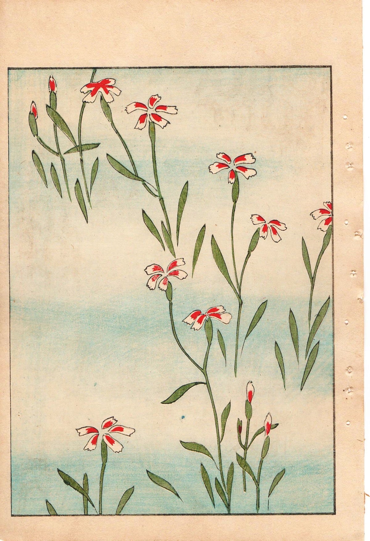 Japanese Antique Original Woodcut Print, c 1900, Bijutsukai 1, Sekka, Korin