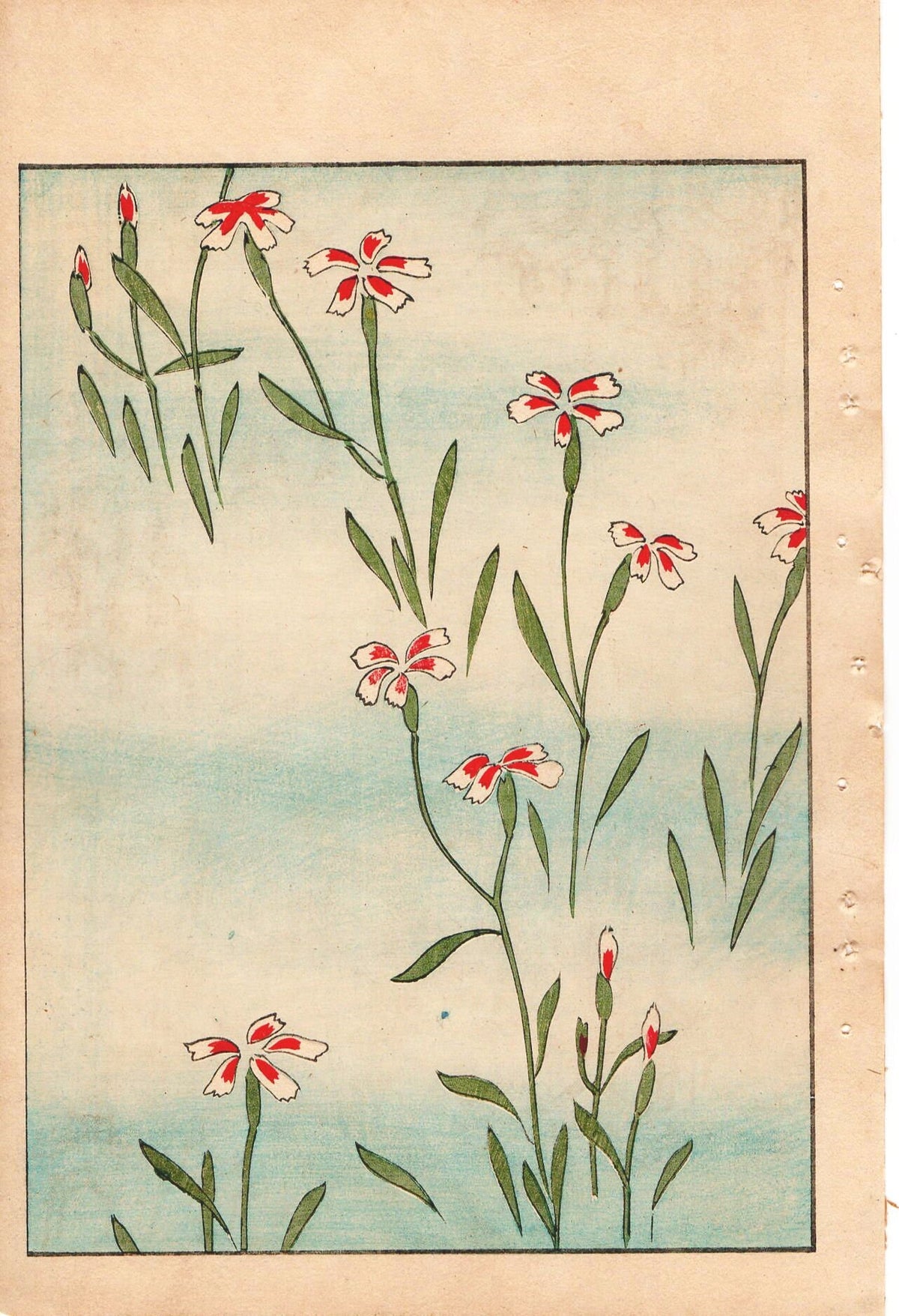 Japanese Antique Original Woodcut Print, c 1900, Bijutsukai 1, Sekka, Korin