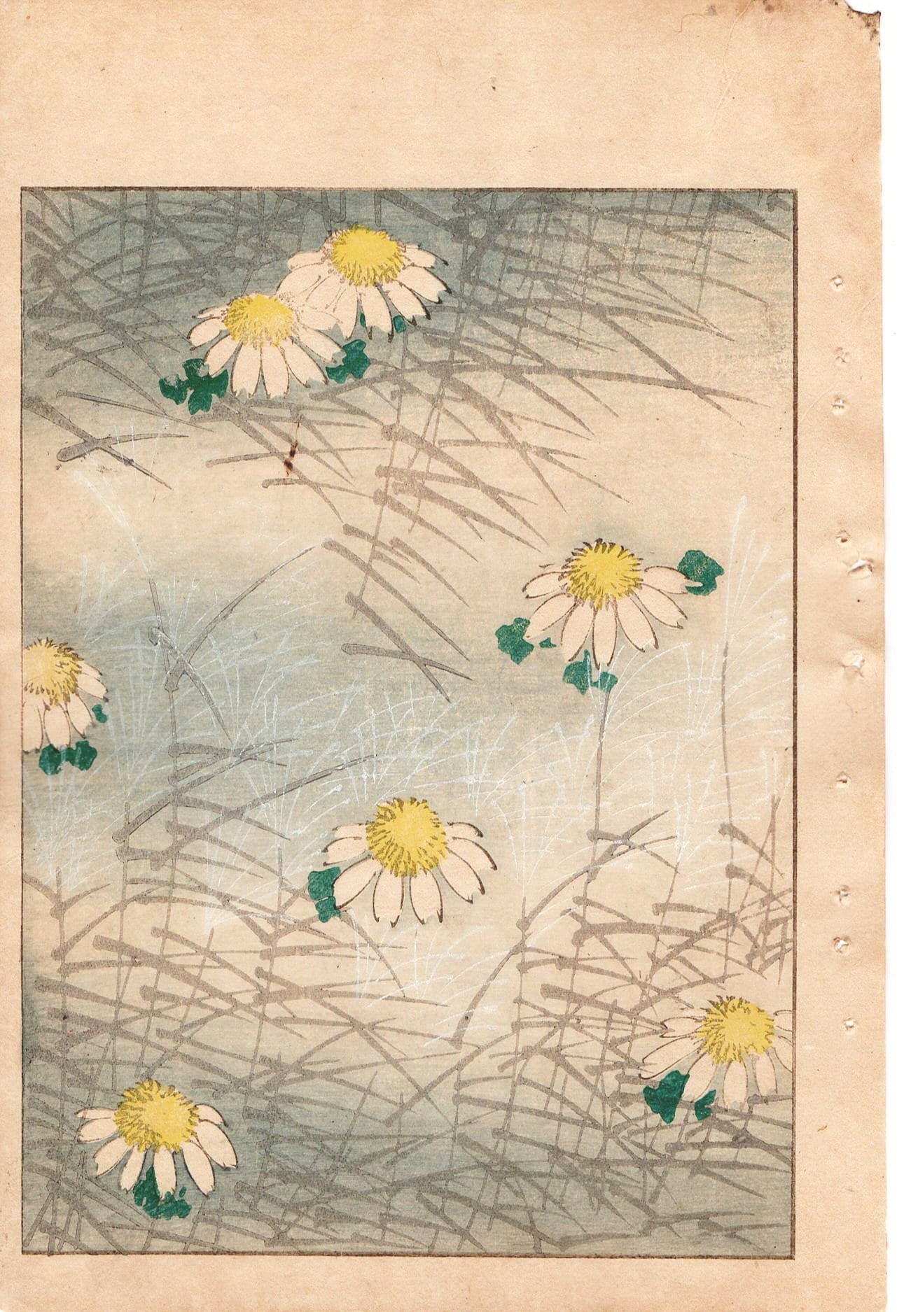 Japanese Antique Original Woodcut Print, c 1900, Bijutsukai 1, Sekka, Korin