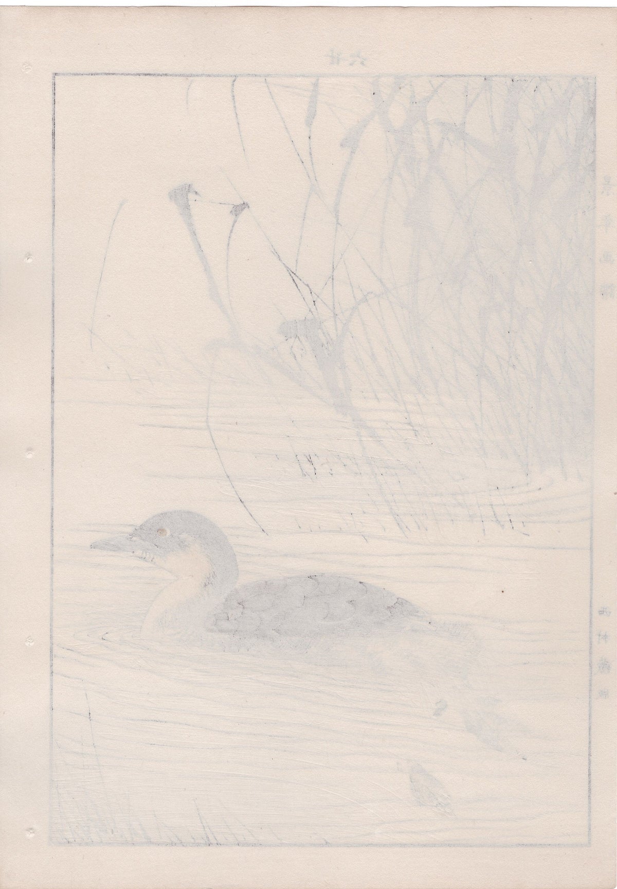 Japanese Antique Original Woodcut Print, 1892, Imao Keinen, "Manchurian wild rice, Little grebe"