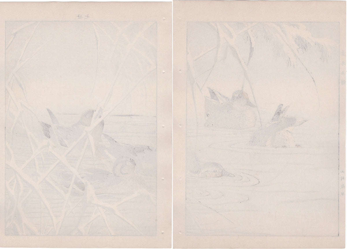 Japanese Antique Original Woodcut Print, 1892, Imao Keinen, "Reed, Duck"