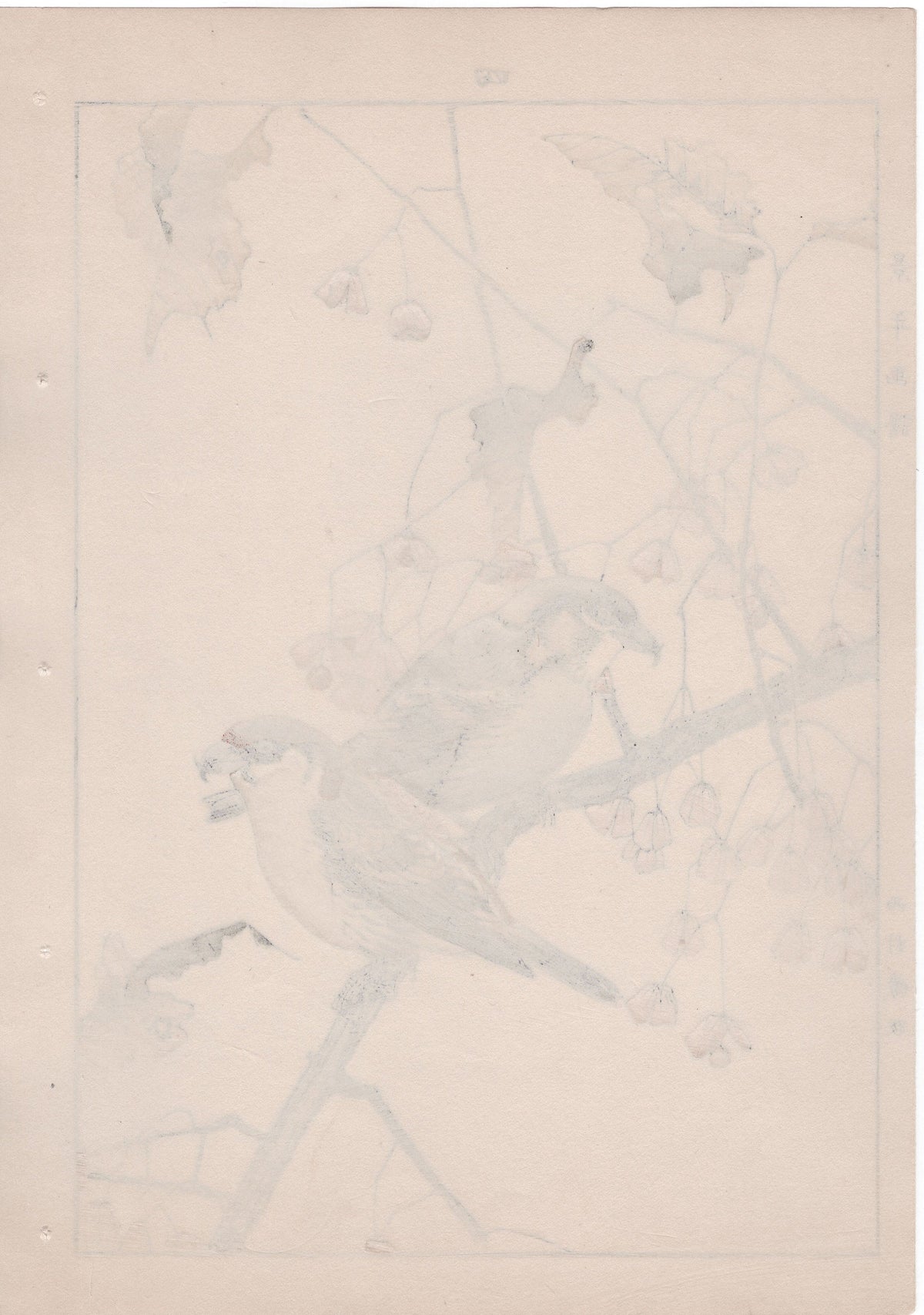 1892, Japanese Antique Original Woodblock Print, Imao Keinen, "Euonymus hamiltonianus Wall, Common Crossbill"