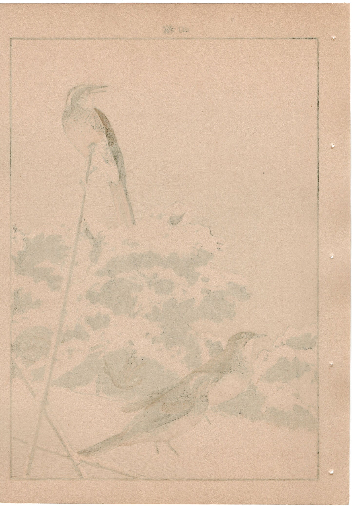 Japanese Antique Original Woodcut Print, 1892, Imao Keinen, "Japanese radish, Dusky thrush"