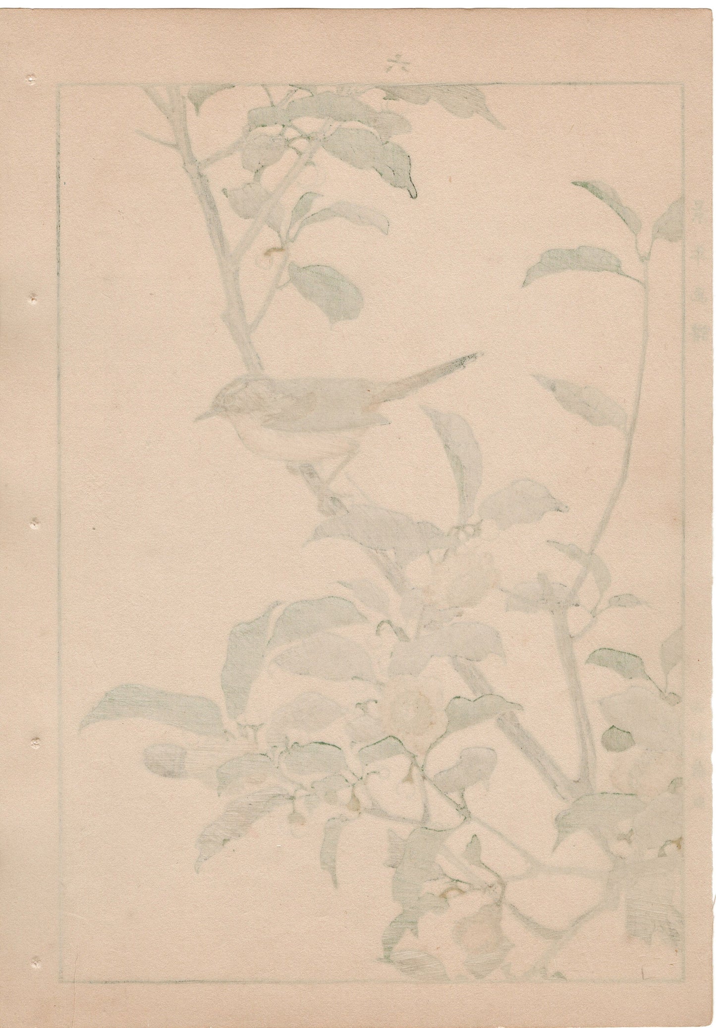 1892, Japanese Antique Original Woodblock Print, Imao Keinen, "Tea flowers, Grassbirds"
