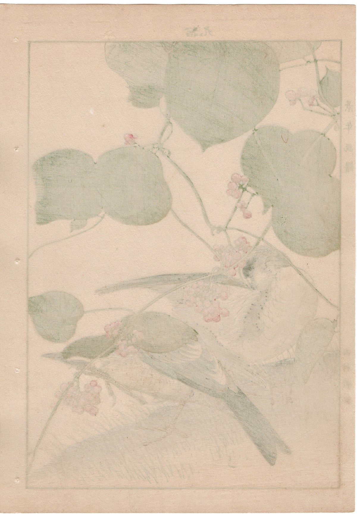 1892, Japanese Antique Original Woodblock Print, Imao Keinen, "Stephania japonica, Brown-headed thrush"