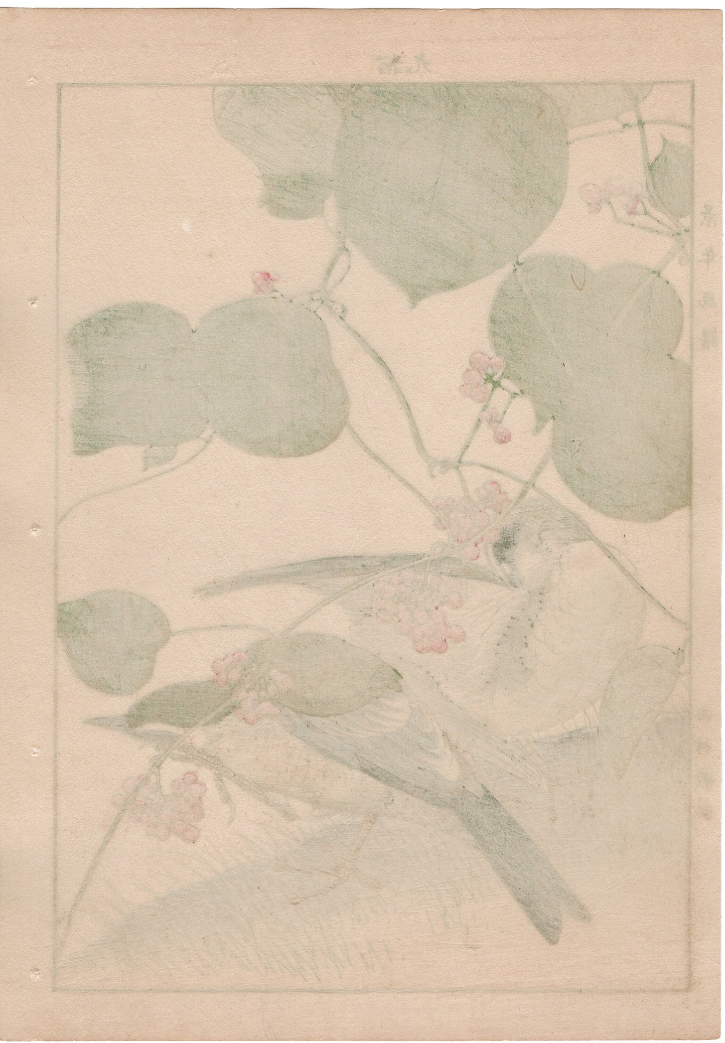 1892, Japanese Antique Original Woodblock Print, Imao Keinen, "Stephania japonica, Brown-headed thrush"