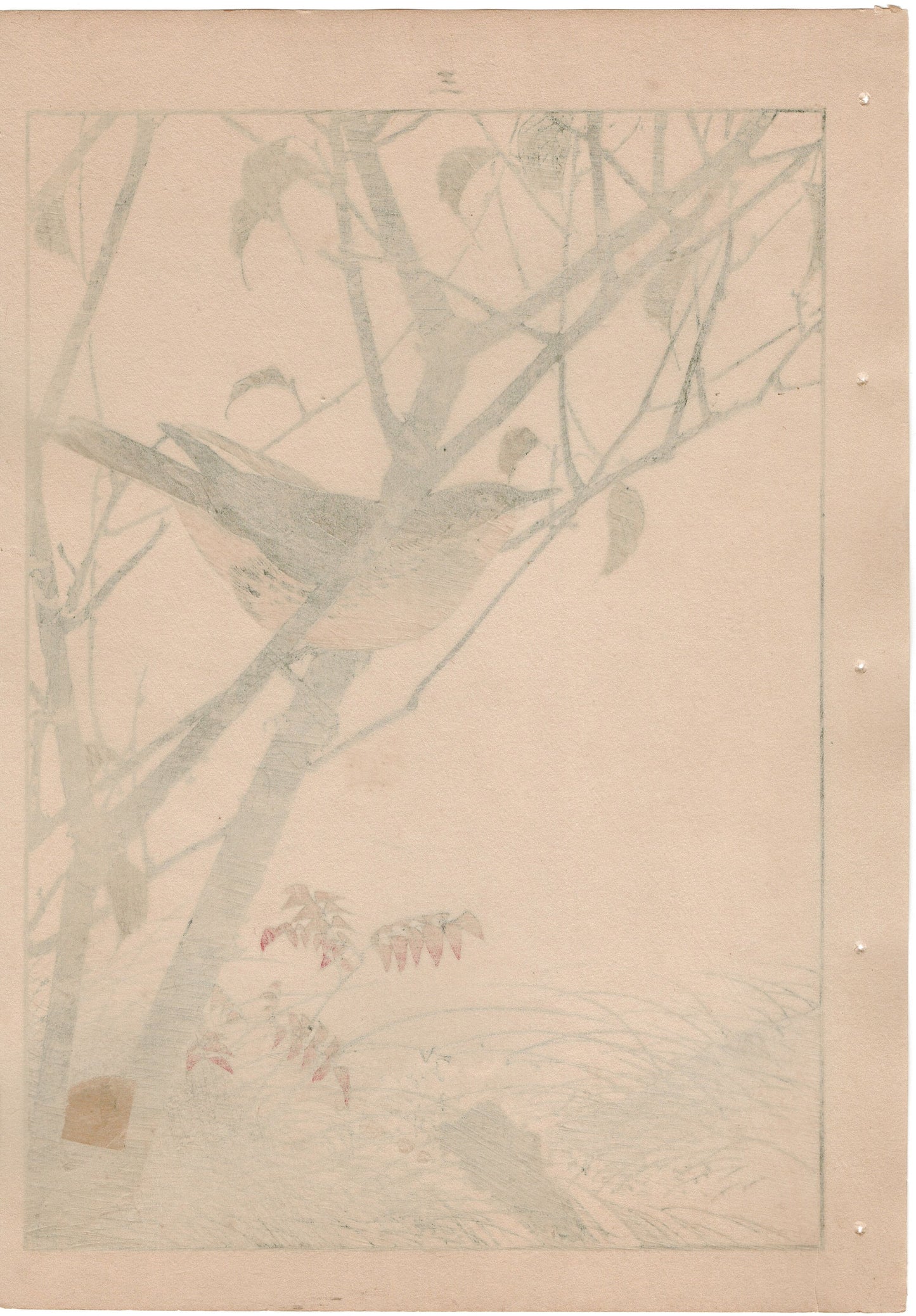 1892, Japanese Antique Original Woodblock Print, Imao Keinen, "Leaf cherry, Dusky thrush"