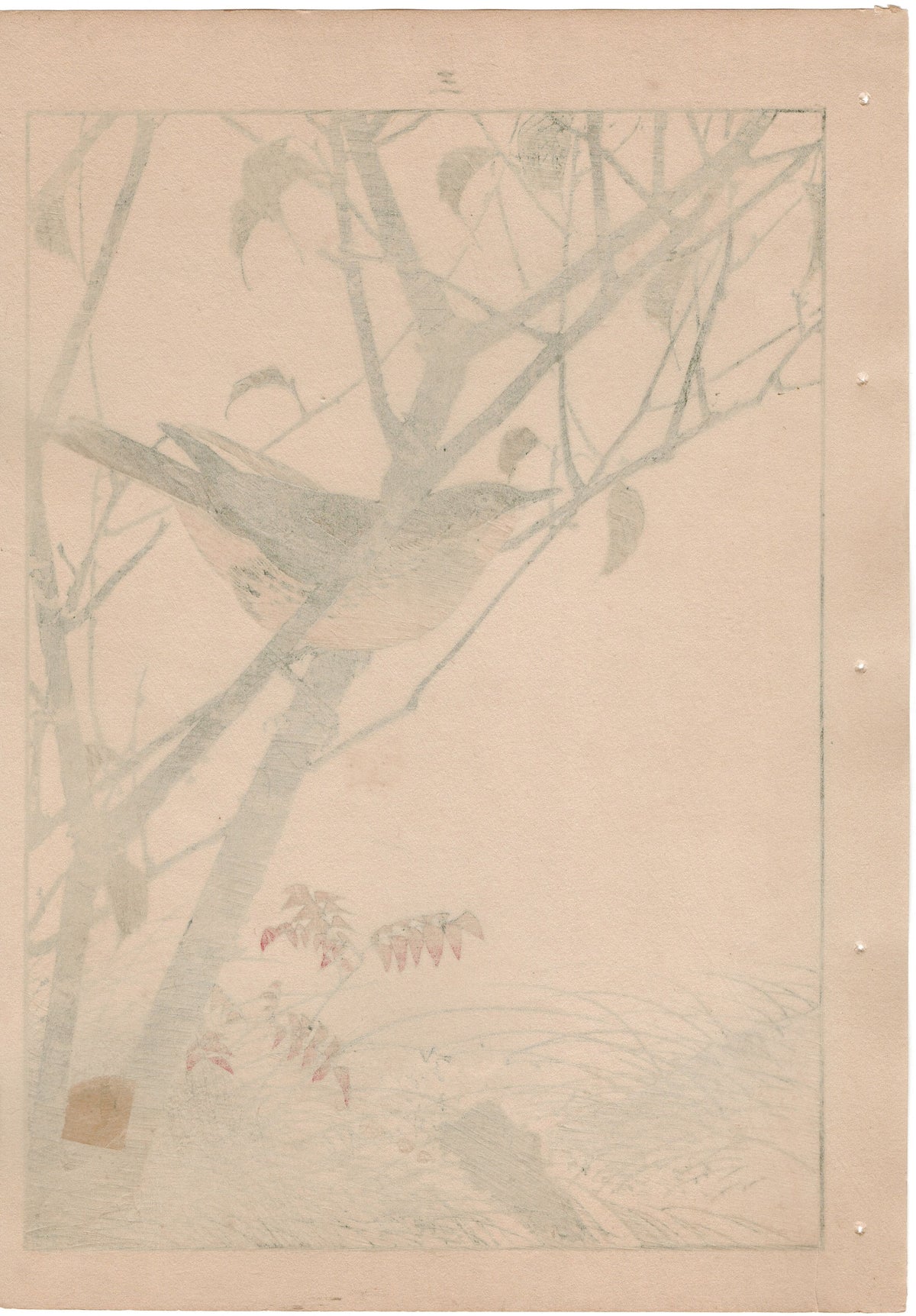 1892, Japanese Antique Original Woodblock Print, Imao Keinen, "Leaf cherry, Dusky thrush"