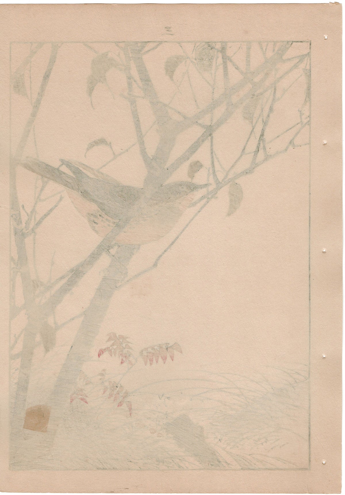 1892, Japanese Antique Original Woodblock Print, Imao Keinen, "Leaf cherry, Dusky thrush"