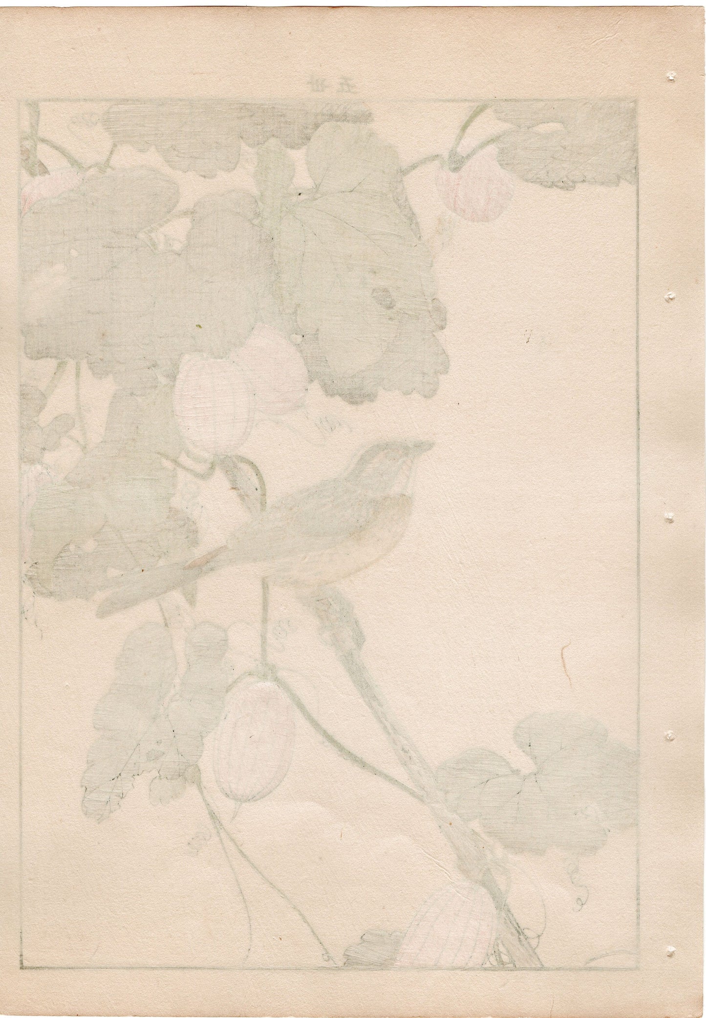 1892, Japanese Antique Original Woodblock Print, Imao Keinen, "Japanese snake gourd, Yellow-throated bunting"