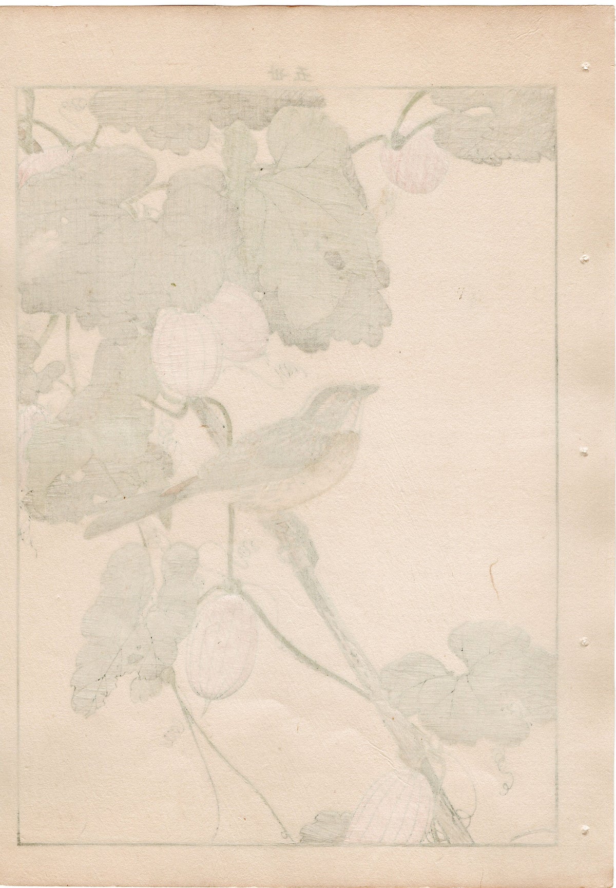 1892, Japanese Antique Original Woodblock Print, Imao Keinen, "Japanese snake gourd, Yellow-throated bunting"