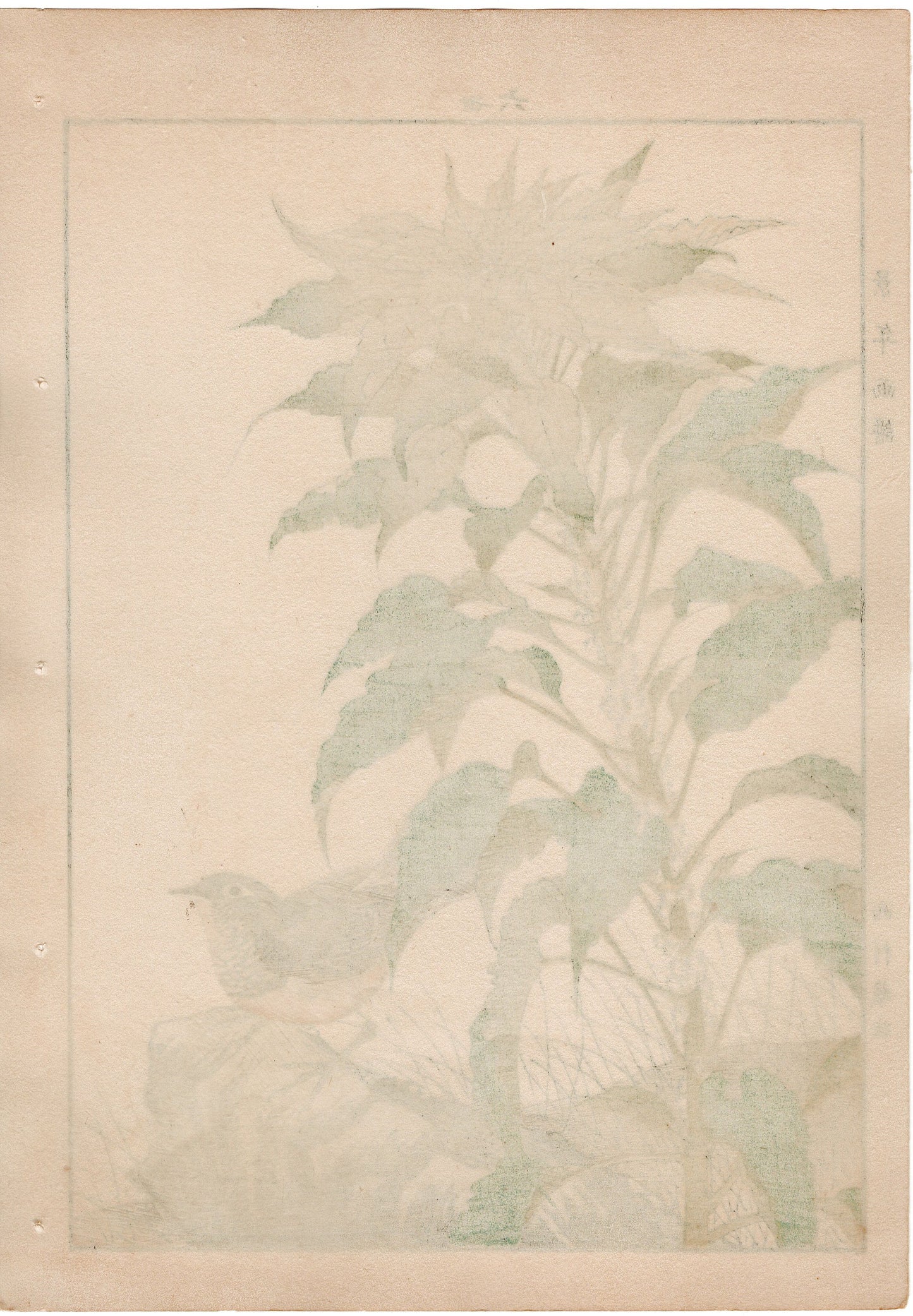 1892, Japanese Antique Original Woodblock Print, Imao Keinen, "Joseph's coat, Japanese robin"