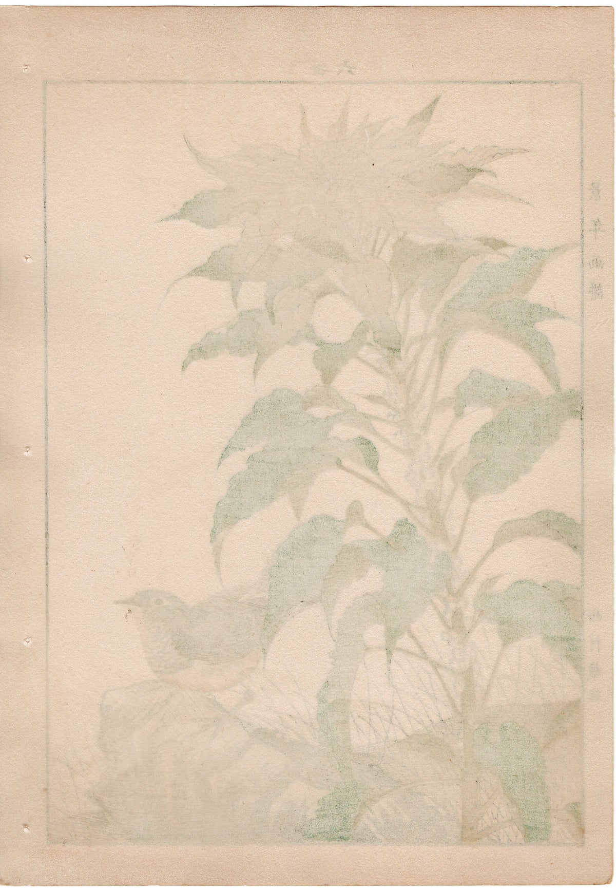 1892, Japanese Antique Original Woodblock Print, Imao Keinen, "Joseph's coat, Japanese robin"