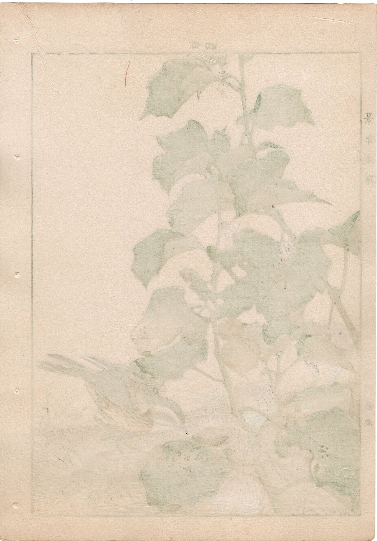 1892, Japanese Antique Original Woodblock Print, Imao Keinen, "Chinese lantern plant, Meadow bunting"