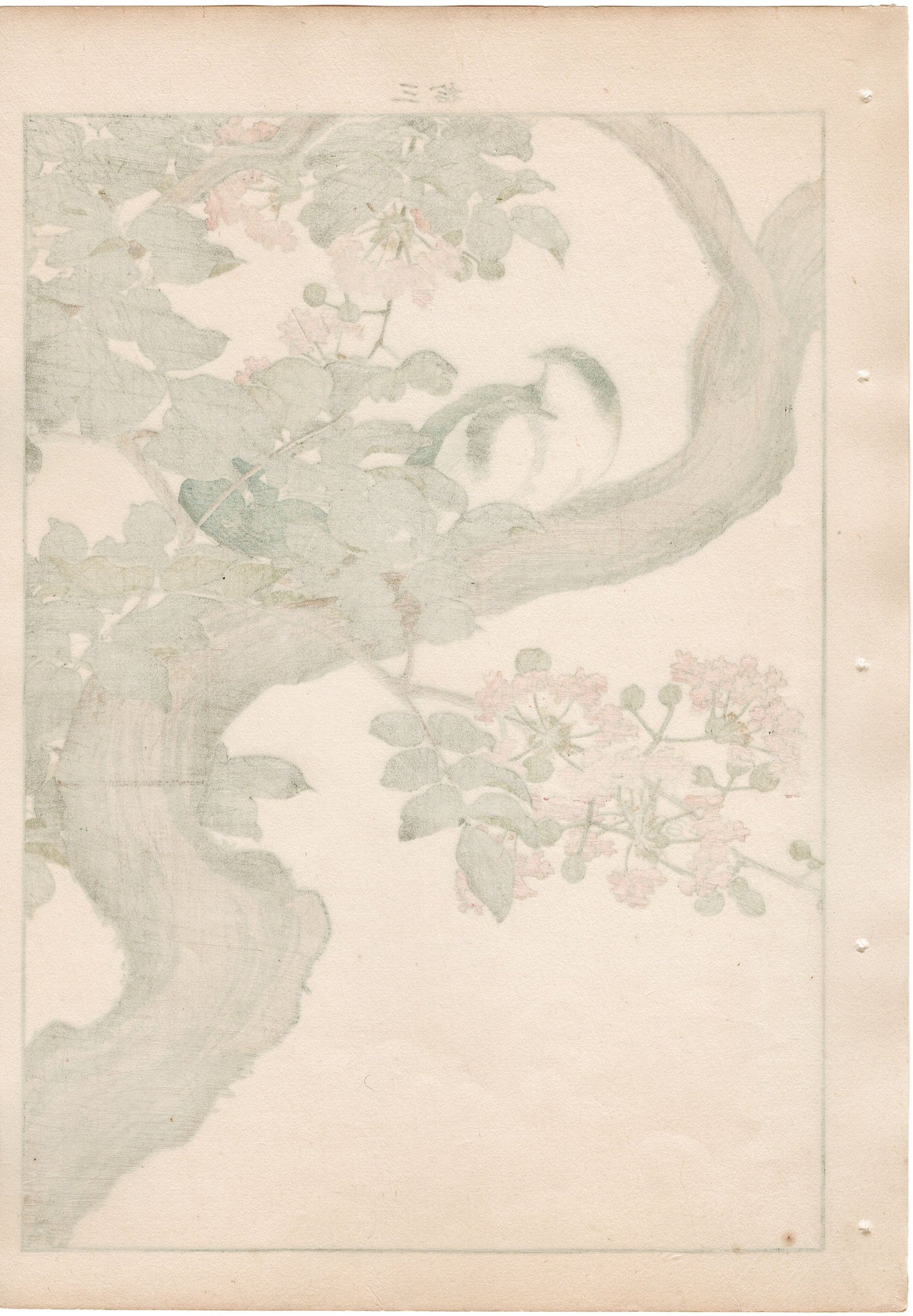 1892, Japanese Antique Original Woodblock Print, Imao Keinen, "Crape-myrtle, Siberian blue robin"