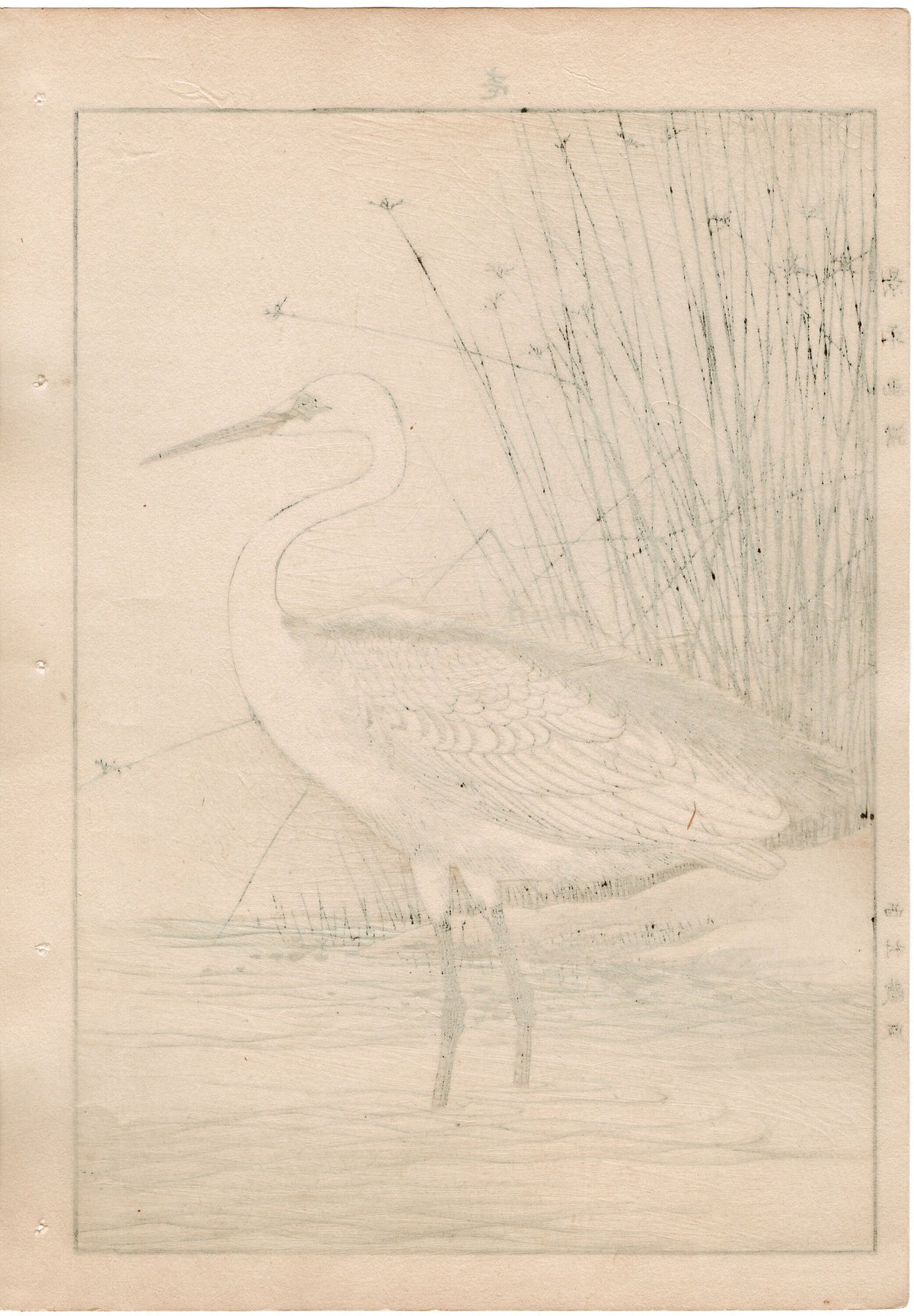 1892, Japanese Antique Original Woodblock Print, Imao Keinen, "Juncus decipiens, Great egret"