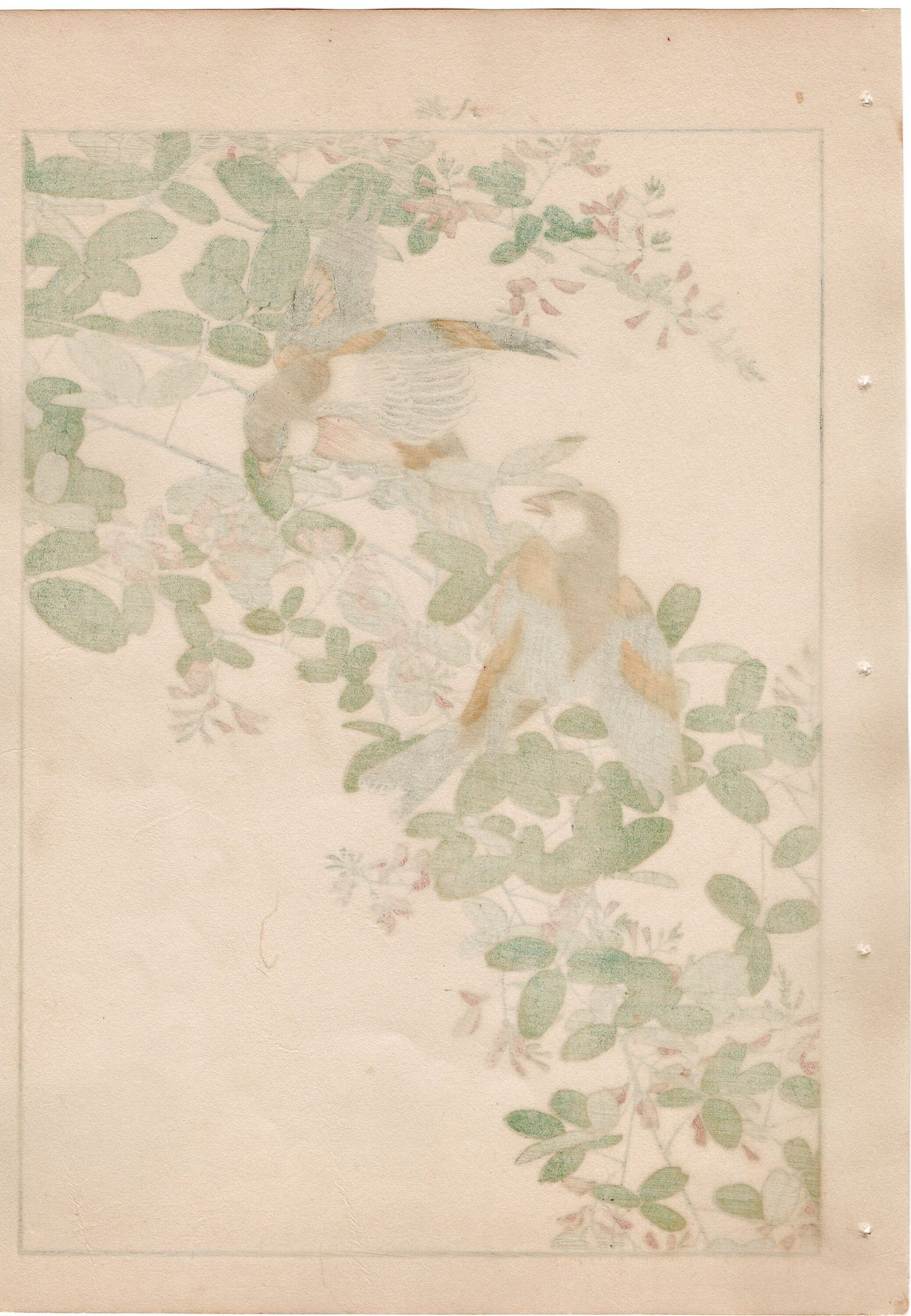 Japanese Antique Original Woodcut Print, 1892, Imao Keinen, "Bush clover, Oriental greenfinch"