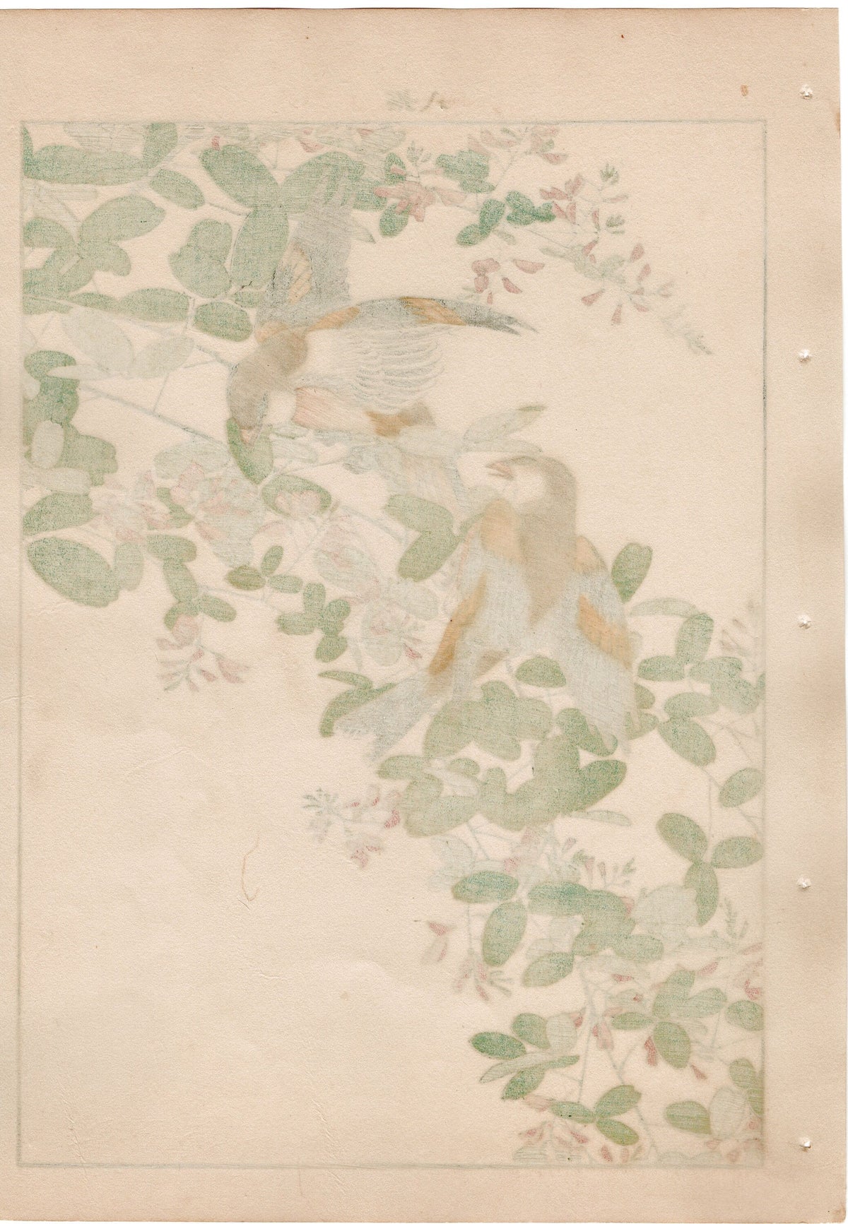 1892, Japanese Antique Original Woodblock Print, Imao Keinen, "Bush clover, Oriental greenfinch"