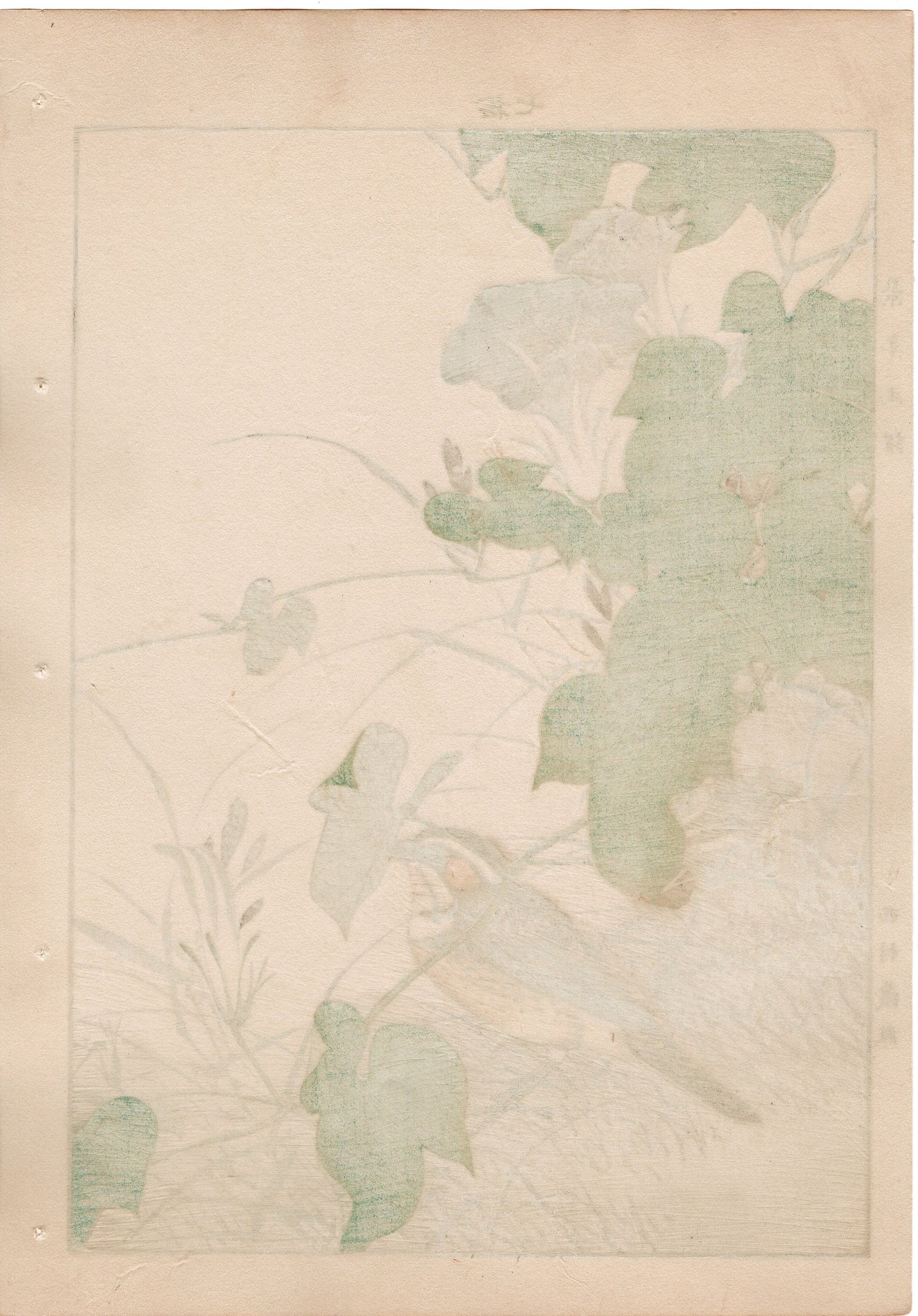 1892, Japanese Antique Original Woodblock Print, Imao Keinen, "Japanese morning-glory, Chestnut-eared bunting"
