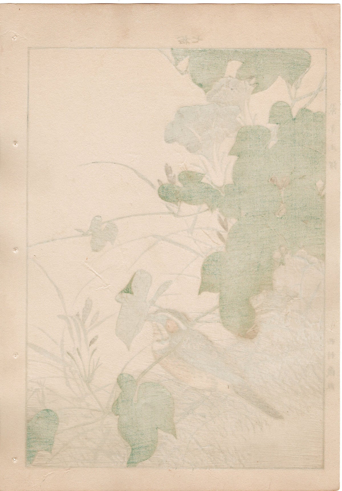 1892, Japanese Antique Original Woodblock Print, Imao Keinen, "Japanese morning-glory, Chestnut-eared bunting"