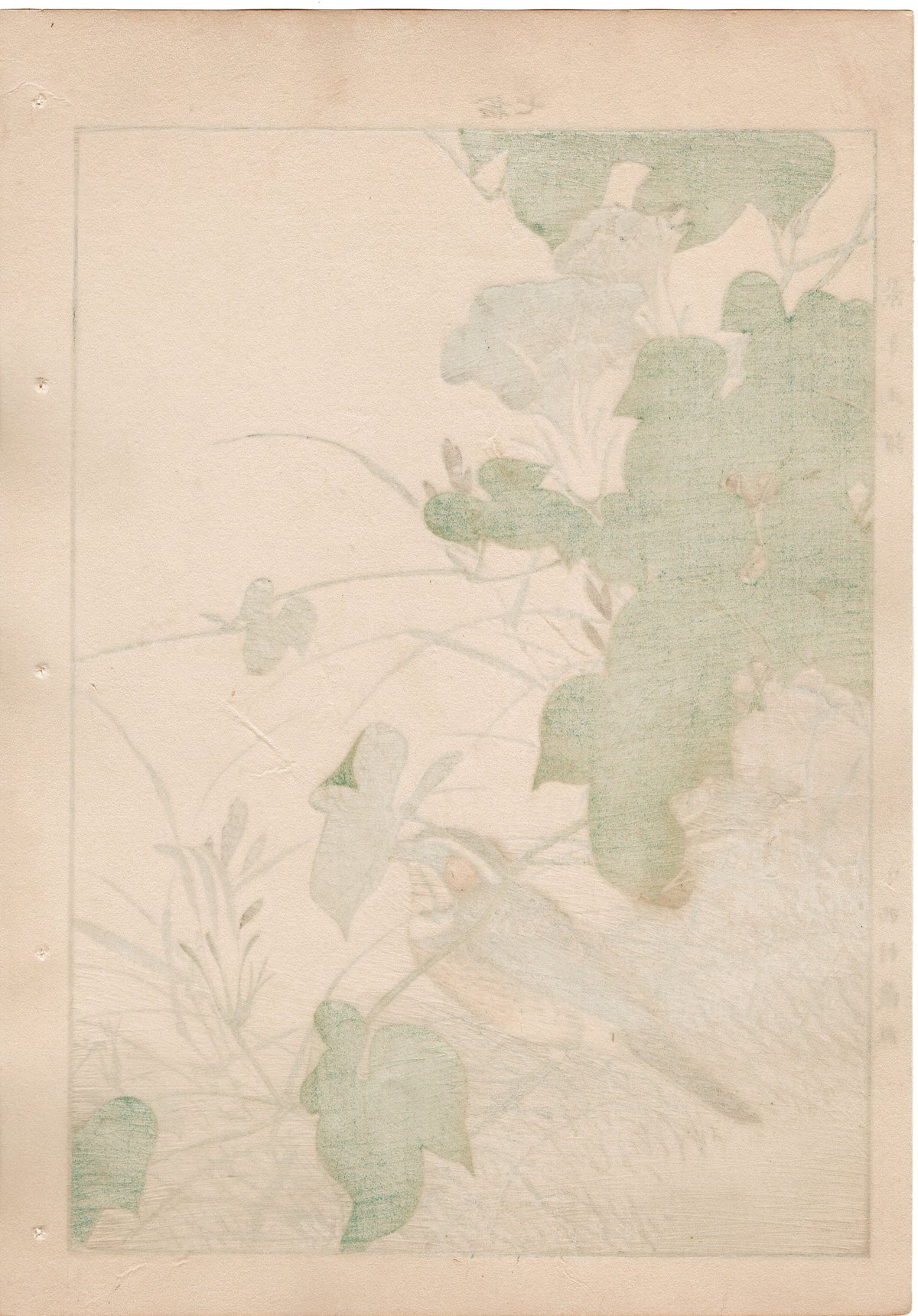1892, Japanese Antique Original Woodblock Print, Imao Keinen, "Japanese morning-glory, Chestnut-eared bunting"