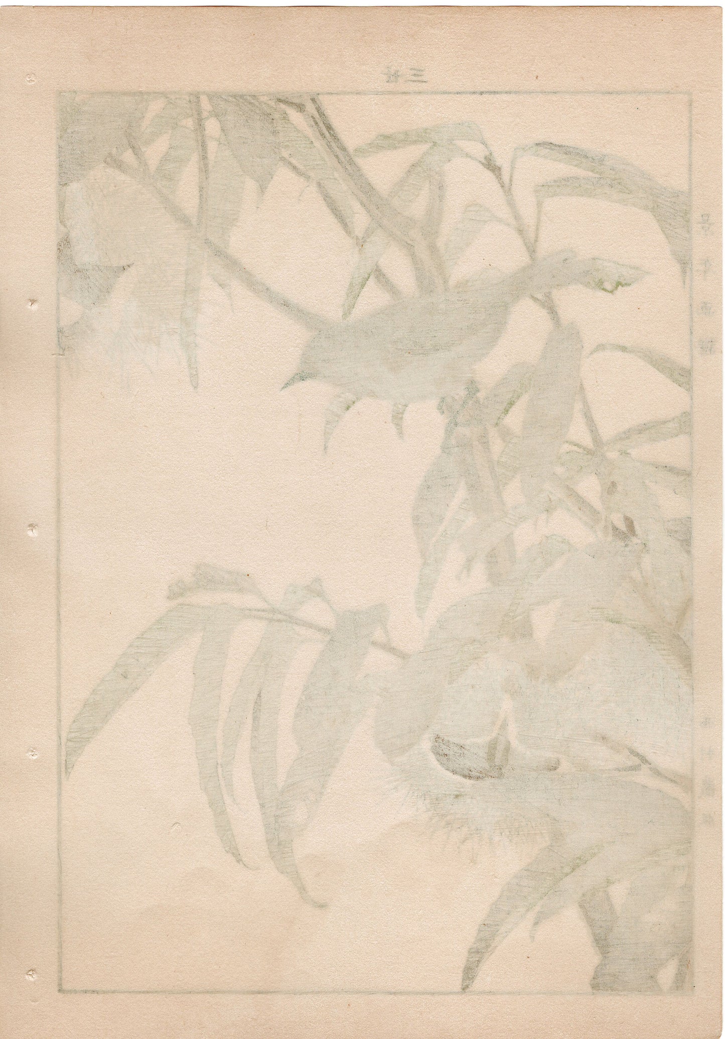 Japanese Antique Original Woodcut Print, 1892, Imao Keinen, "Japanese chestnut, Southern black tit"