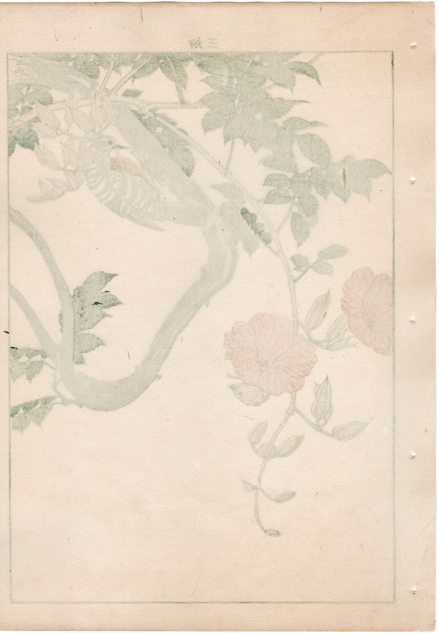 1892, Japanese Antique Original Woodblock Print, Imao Keinen, "Chinese trumpet vine, Japanese Pygmy Woodpecker"