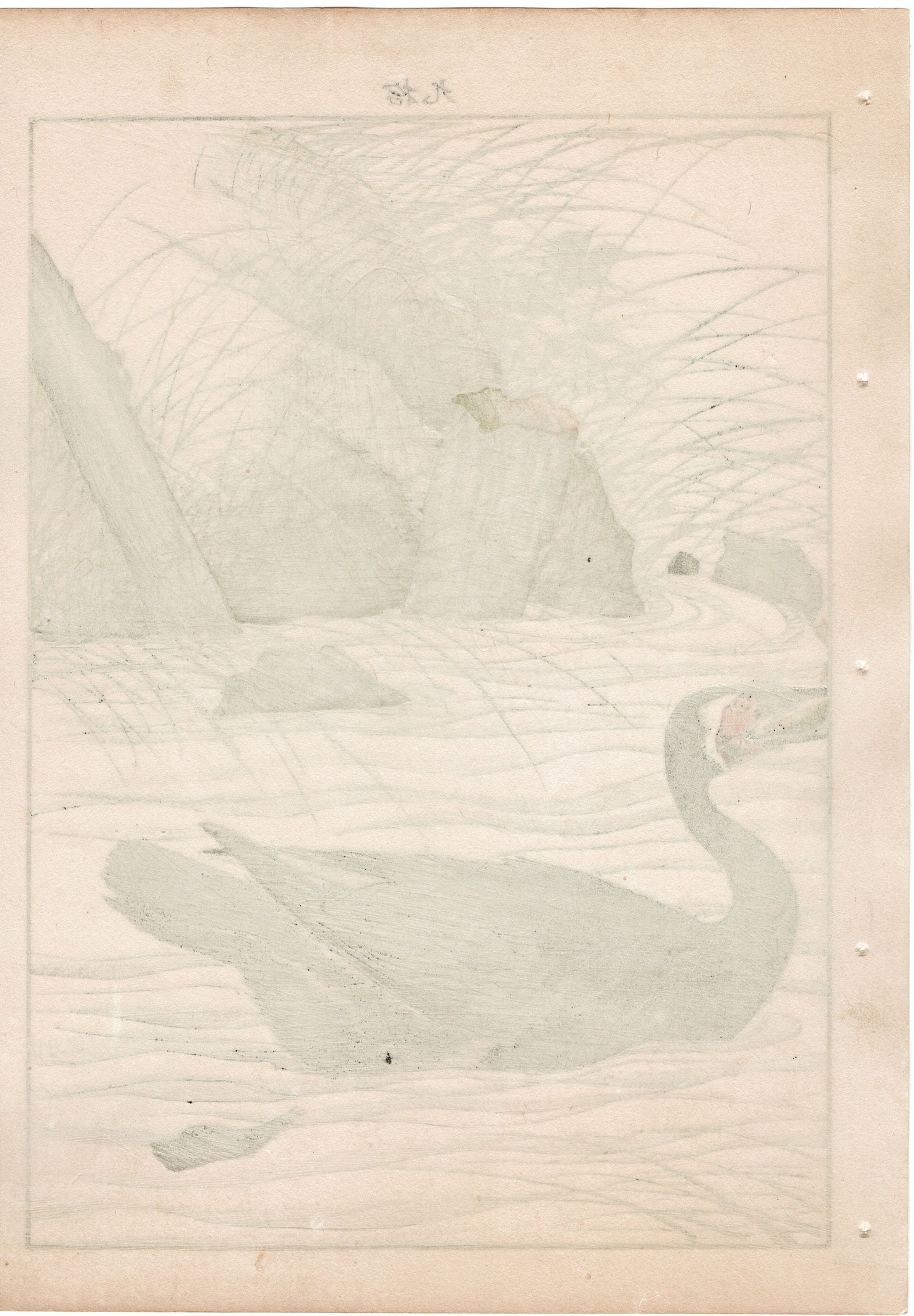 Japanese Antique Original Woodcut Print, 1892, Imao Keinen, "Clematis ternifora, Thatch, cormorant"