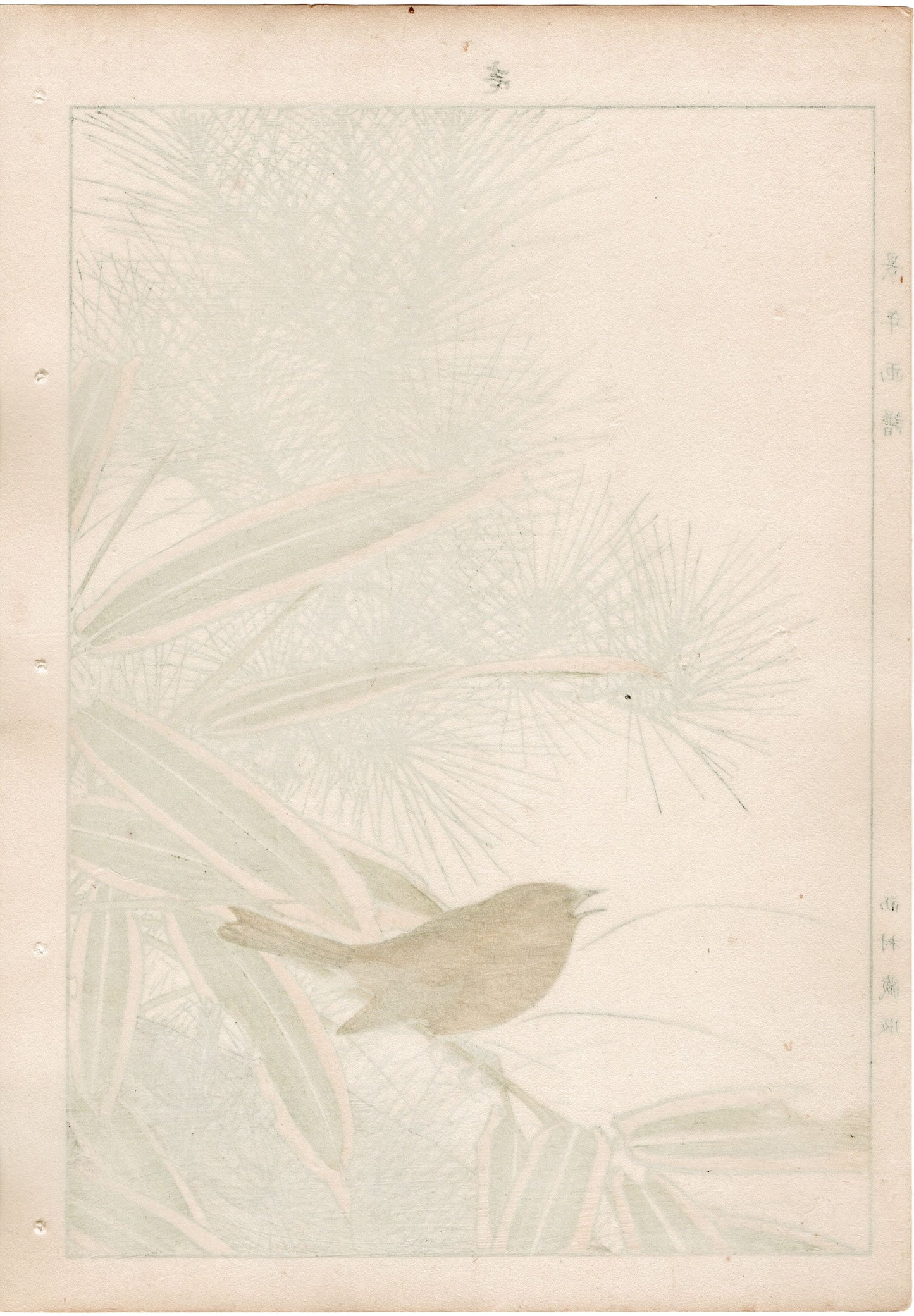 1892, Japanese Antique Original Woodblock Print, 1892, Imao Keinen, " Young pine (Wakamatsu), Kumazasa, Bush warbler(Uguisu) "