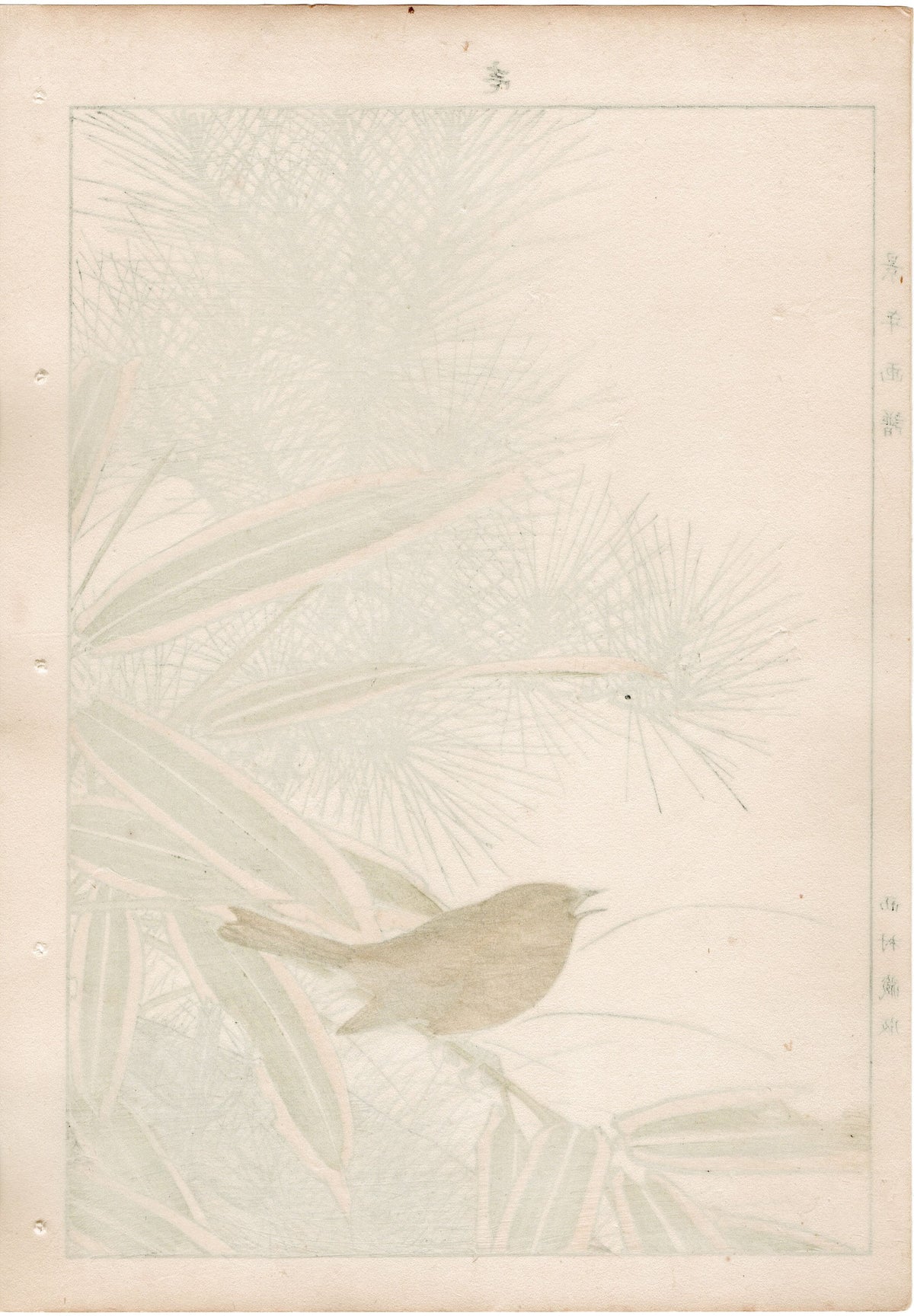 1892, Japanese Antique Original Woodblock Print, 1892, Imao Keinen, " Young pine (Wakamatsu), Kumazasa, Bush warbler(Uguisu) "