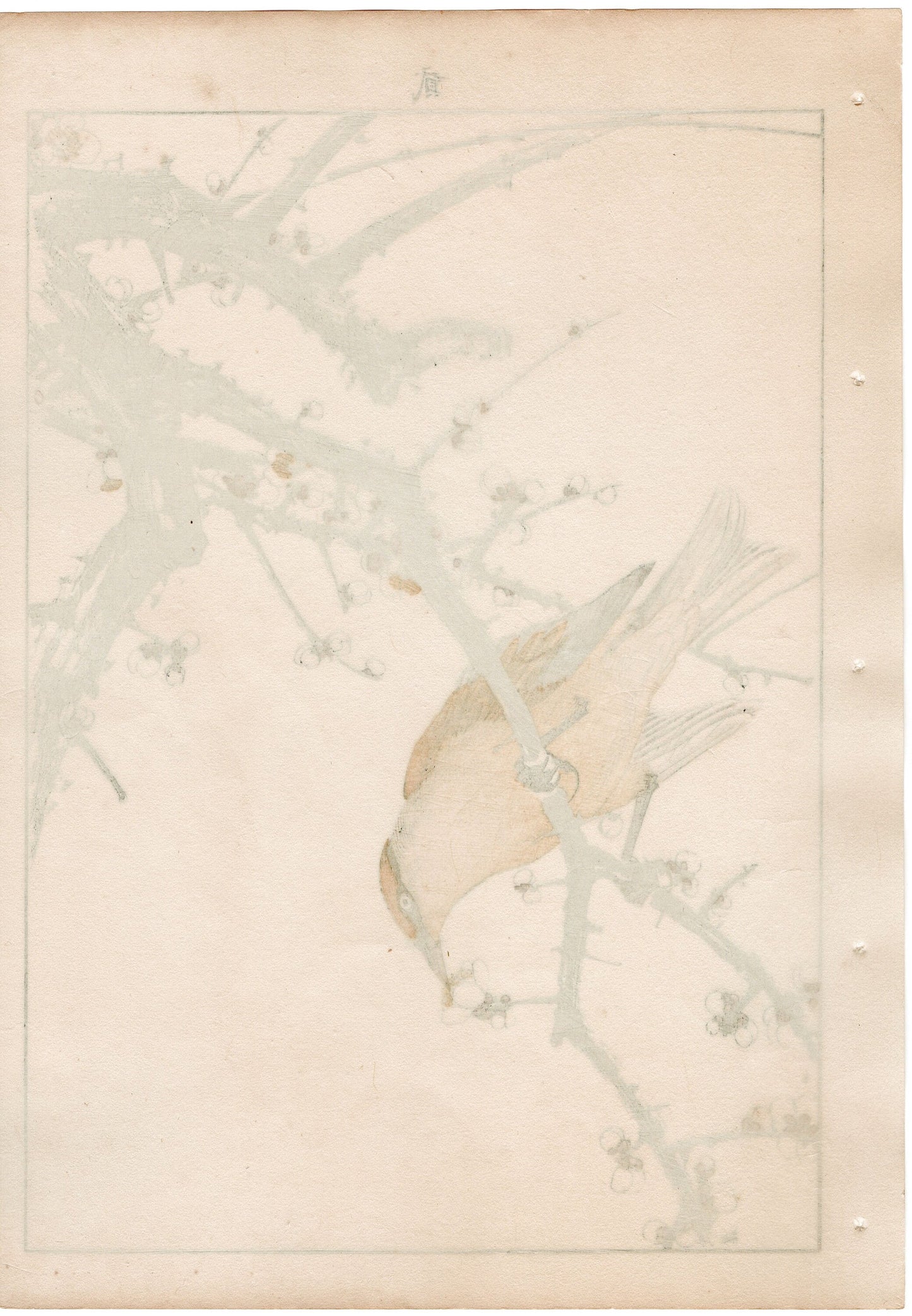 1892, Japanese Antique Original Woodblock Print, , Imao Keinen, "White plum, Japanese bush warbler"