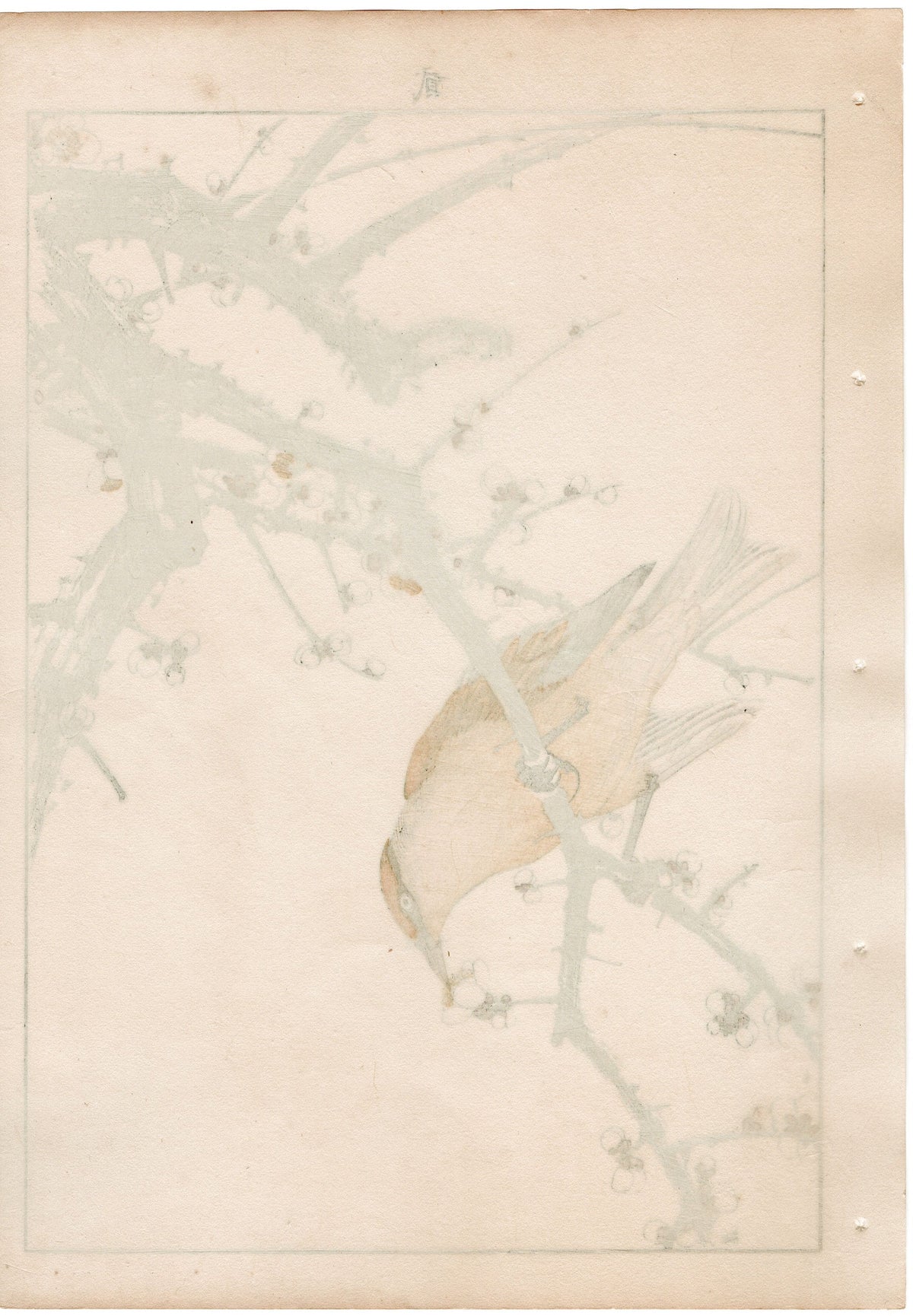 1892, Japanese Antique Original Woodblock Print, , Imao Keinen, "White plum, Japanese bush warbler"