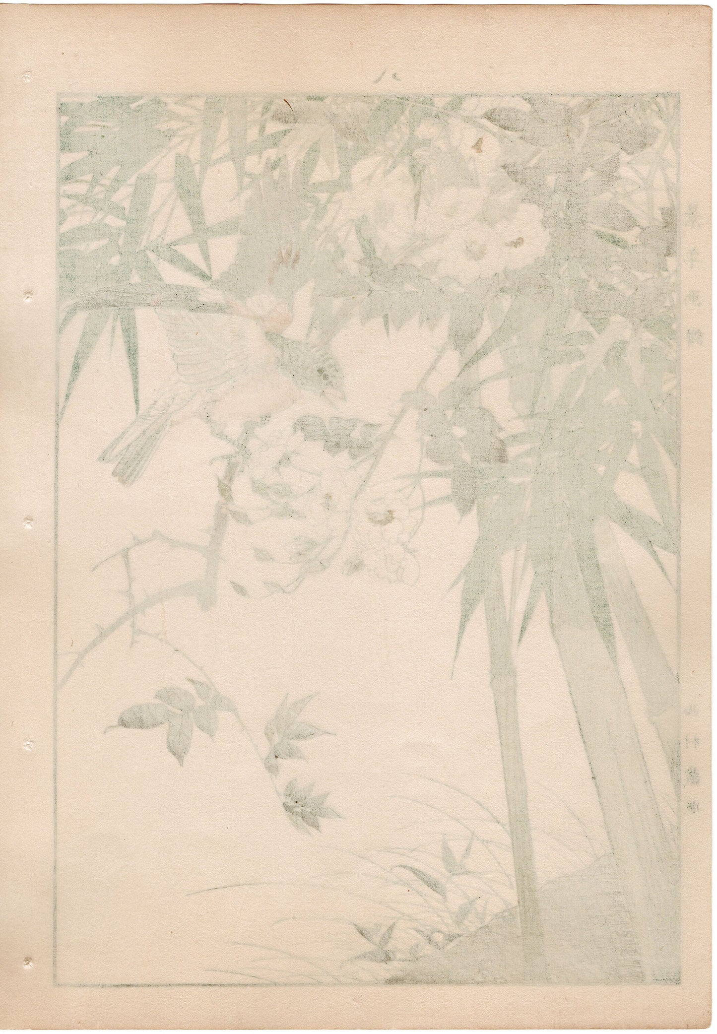 1892, Japanese Antique Original Woodblock Print, Imao Keinen, " Japanese rose (Noibara), Shinobedake, Finch (Atori) "