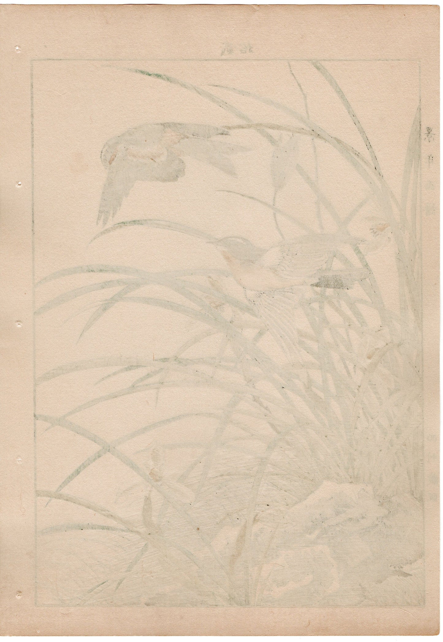 1892, Japanese Antique Original Woodblock Print, Imao Keinen, " Riverstream orchid (Hokuri), Swallows (Tsubame) "