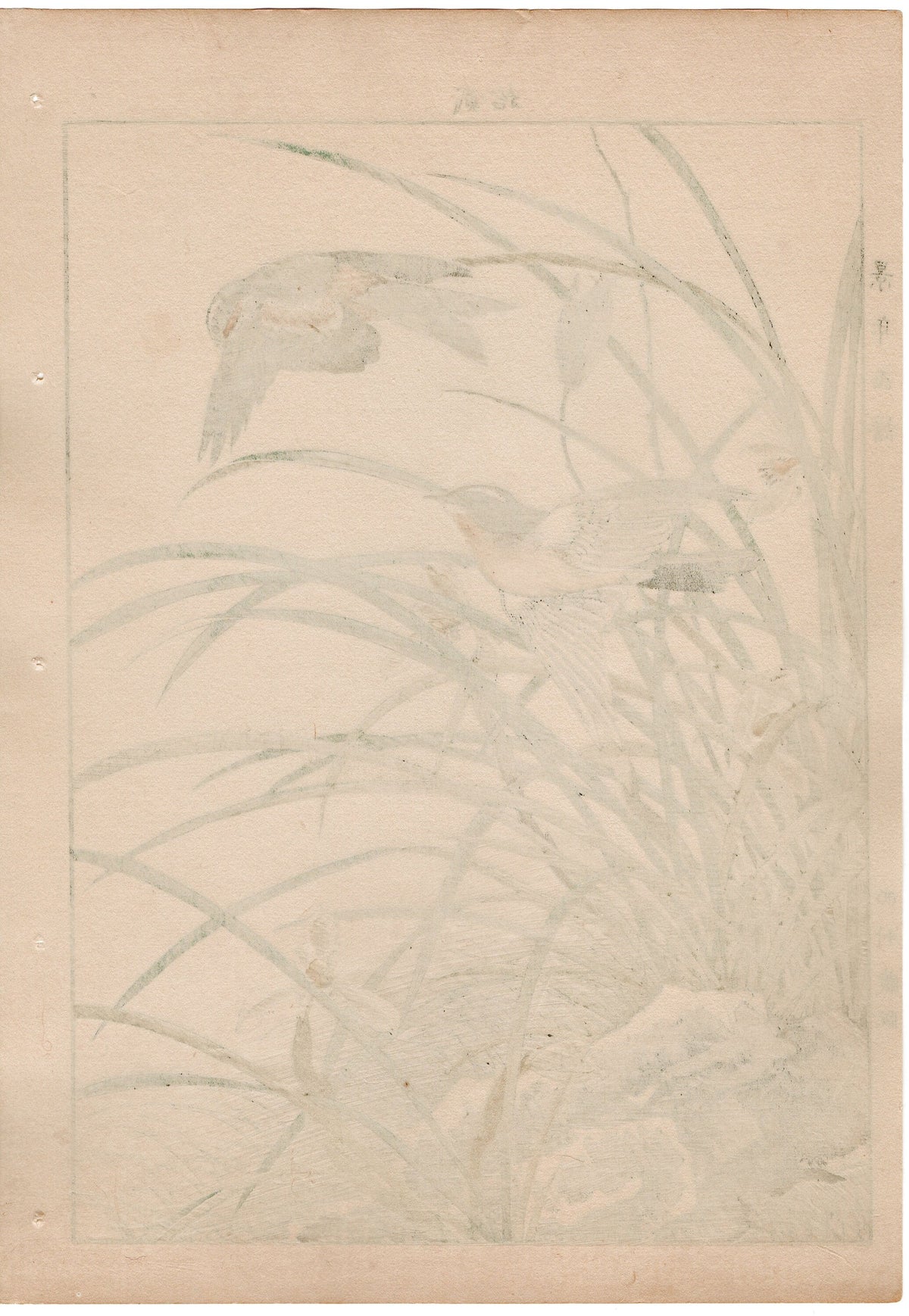1892, Japanese Antique Original Woodblock Print, Imao Keinen, " Riverstream orchid (Hokuri), Swallows (Tsubame) "