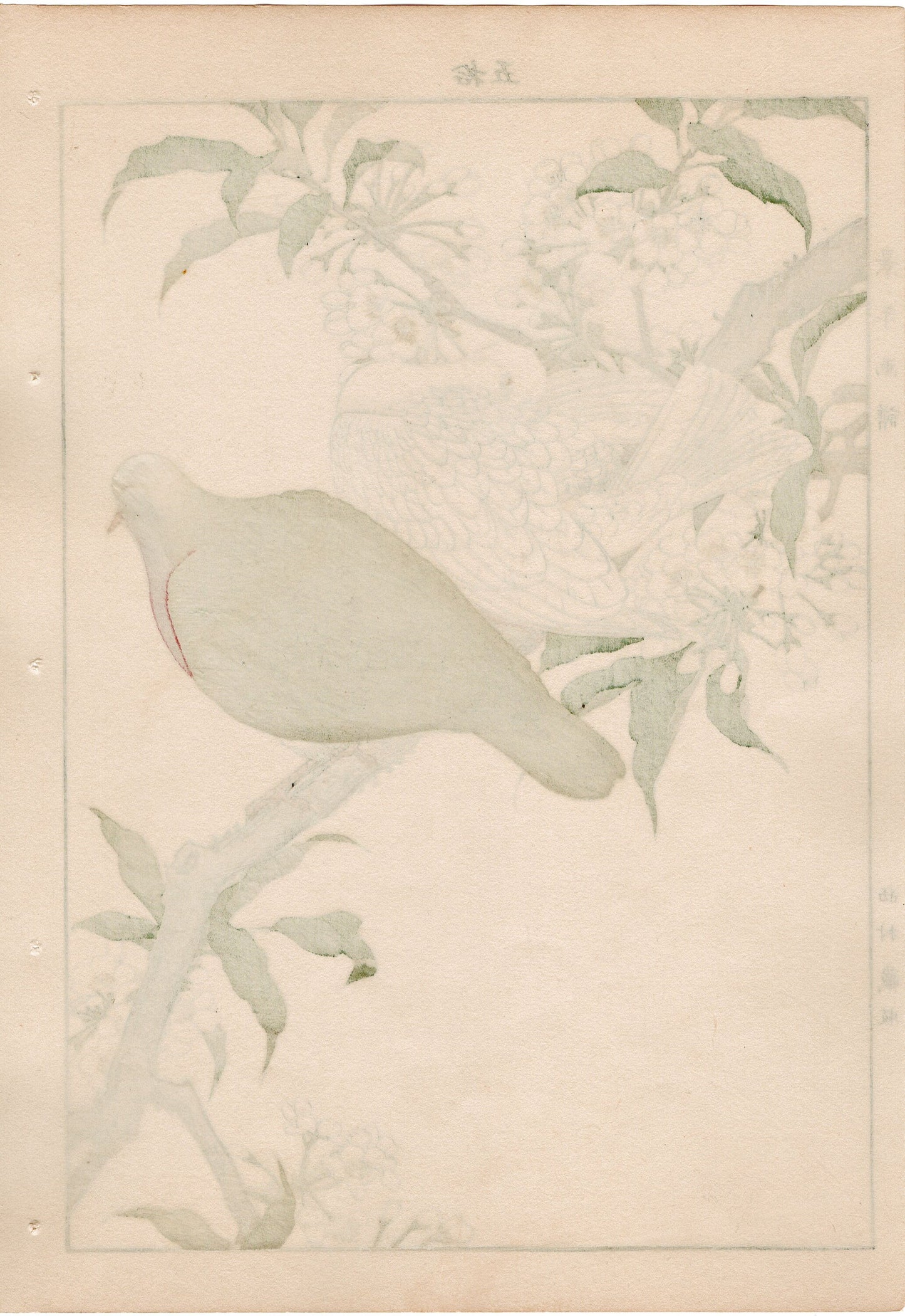1892, Japanese Antique Original Woodblock Print, 1892, Imao Keinen, " Almond (Hatankyo), Pigeons (Nishikibato) "