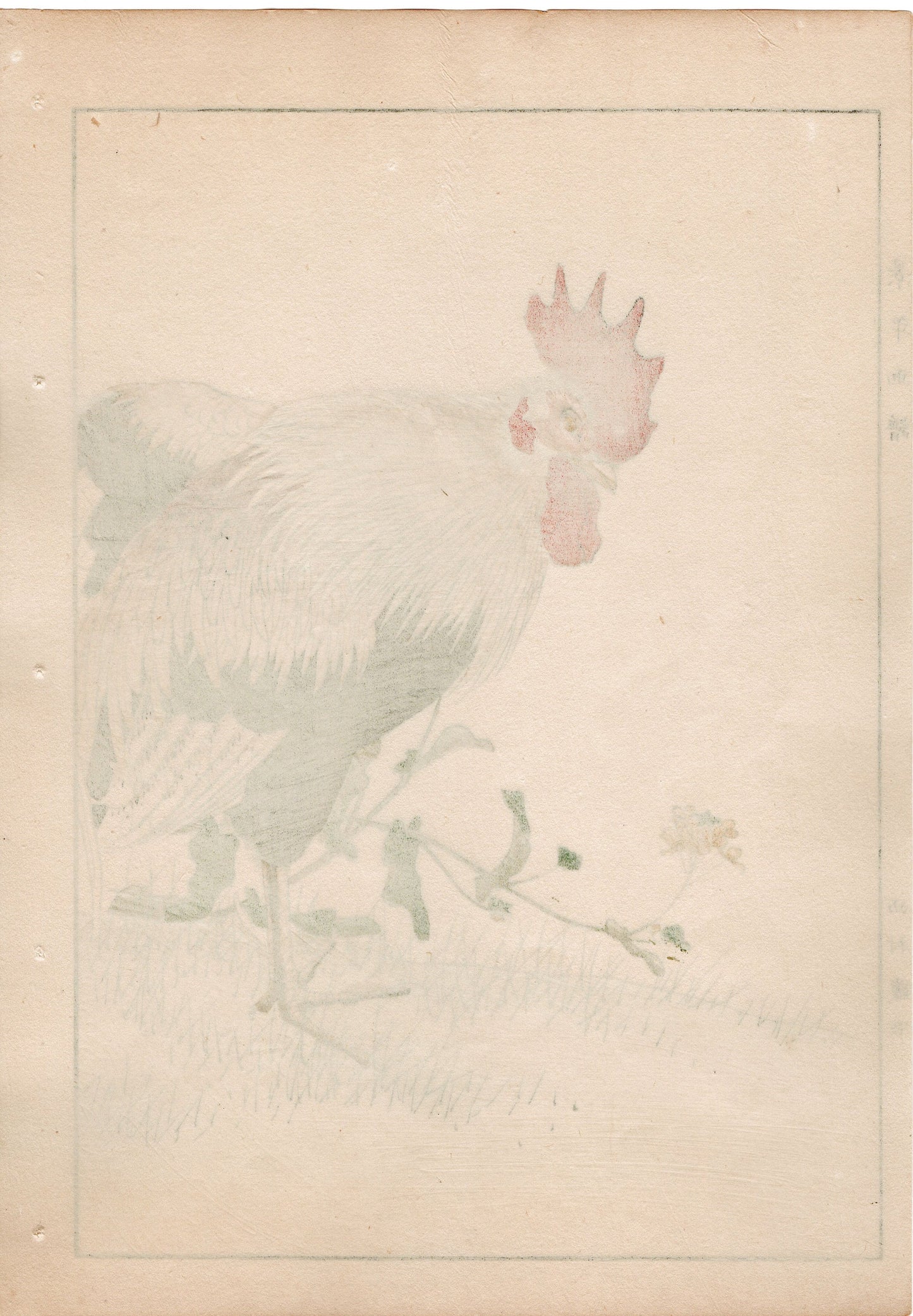 Japanese Antique Original Woodcut Print, 1892, Imao Keinen, " Rapeseeds (Aburana), Roosters (Niwatori) "