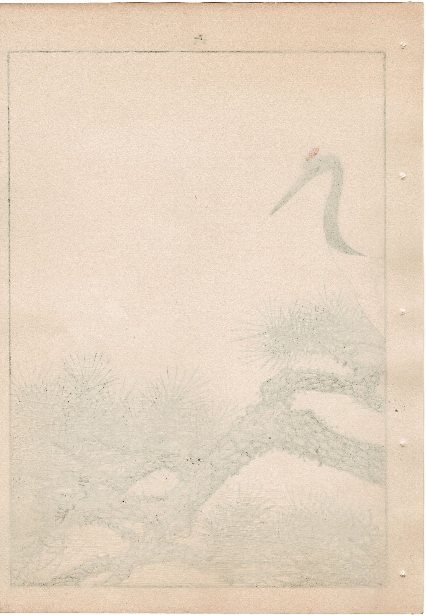 Japanese Antique Original Woodcut Print, 1892, Imao Keinen, "Old pine tree, Japanese crane"
