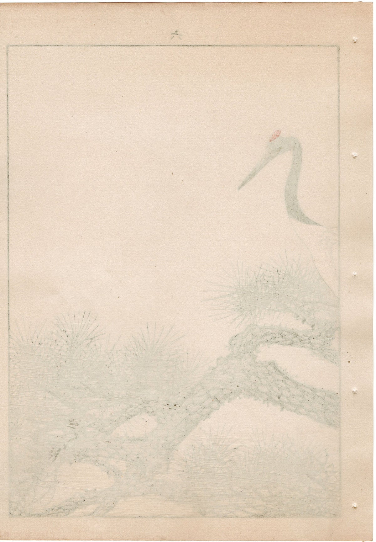 Japanese Antique Original Woodcut Print, 1892, Imao Keinen, "Old pine tree, Japanese crane"