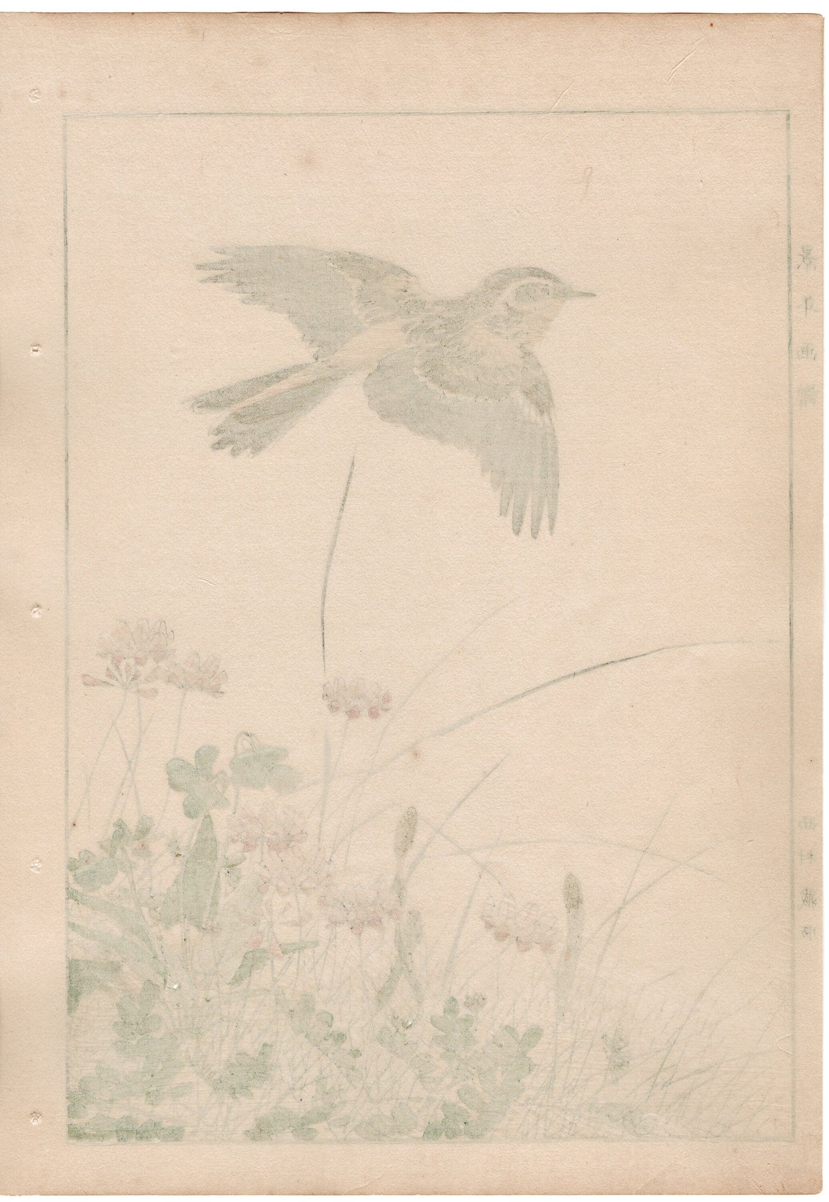 Japanese Antique Original Woodcut Print, 1892, Imao Keinen, " Chinese milk vetch, Violet, Dandelion, Horsetail, Lark ,Olive-backed Pipit "
