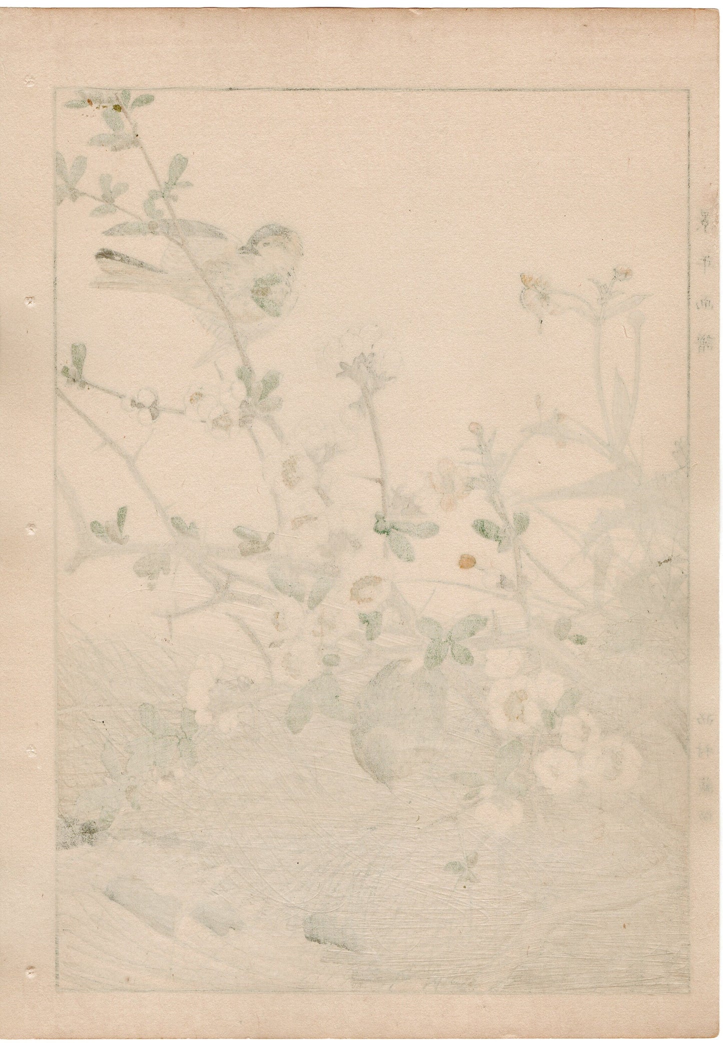 1892, Imao Keinen, " Japanese quince (Bokenohana), Japanese Buttercup (Umanoashigata), Siskin (Mahiwa) "