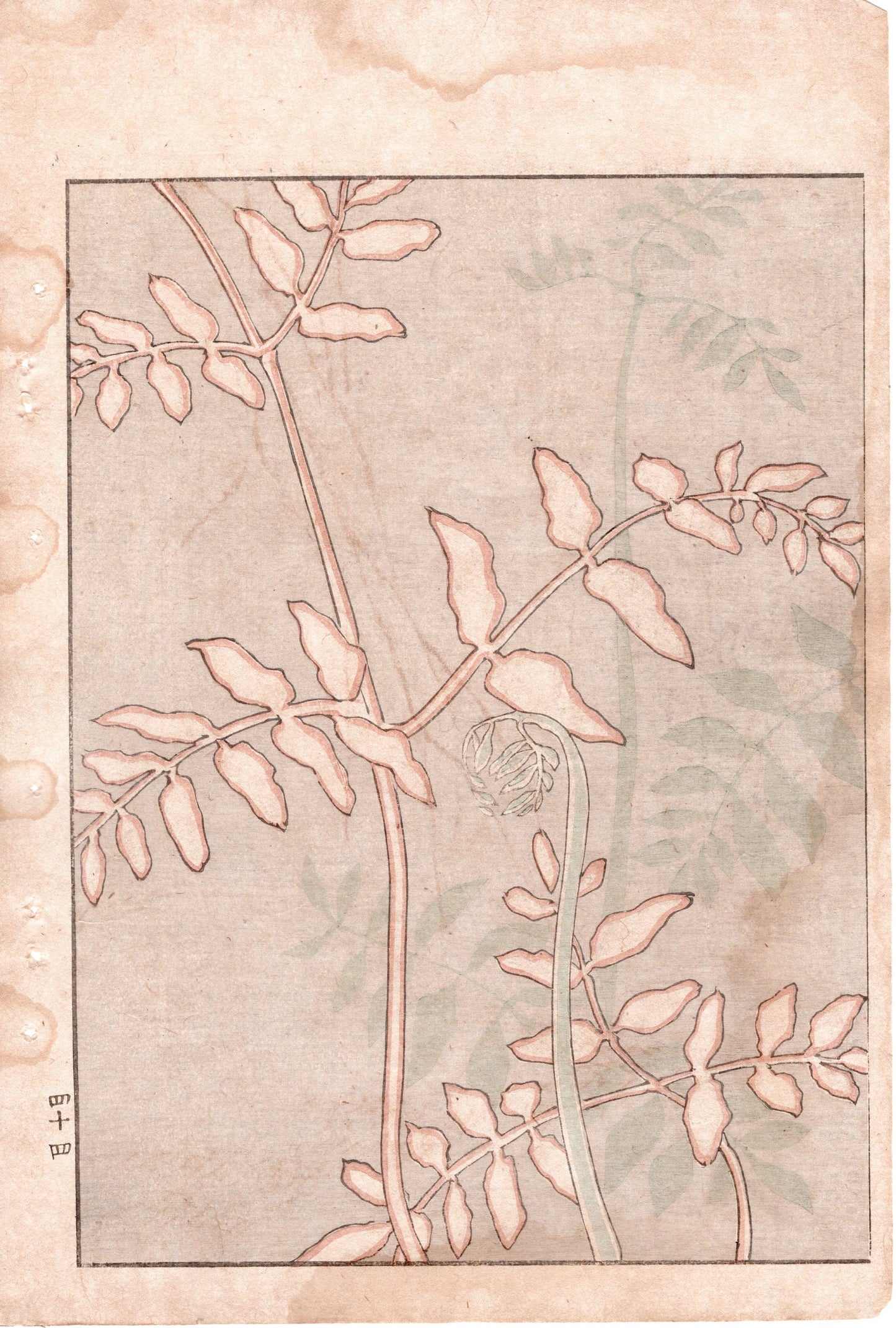 Japanese Antique Original Woodcut Print, c 1900, Bijutsukai 2, Sekka, Korin