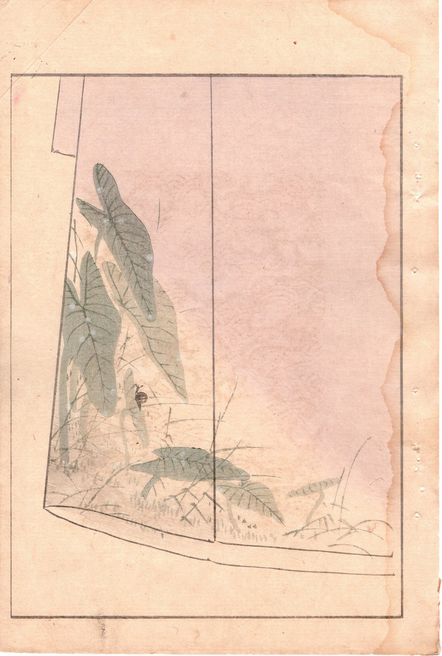 Japanese Antique Original Woodcut Print, c 1900, Bijutsukai 3, Sekka, Korin