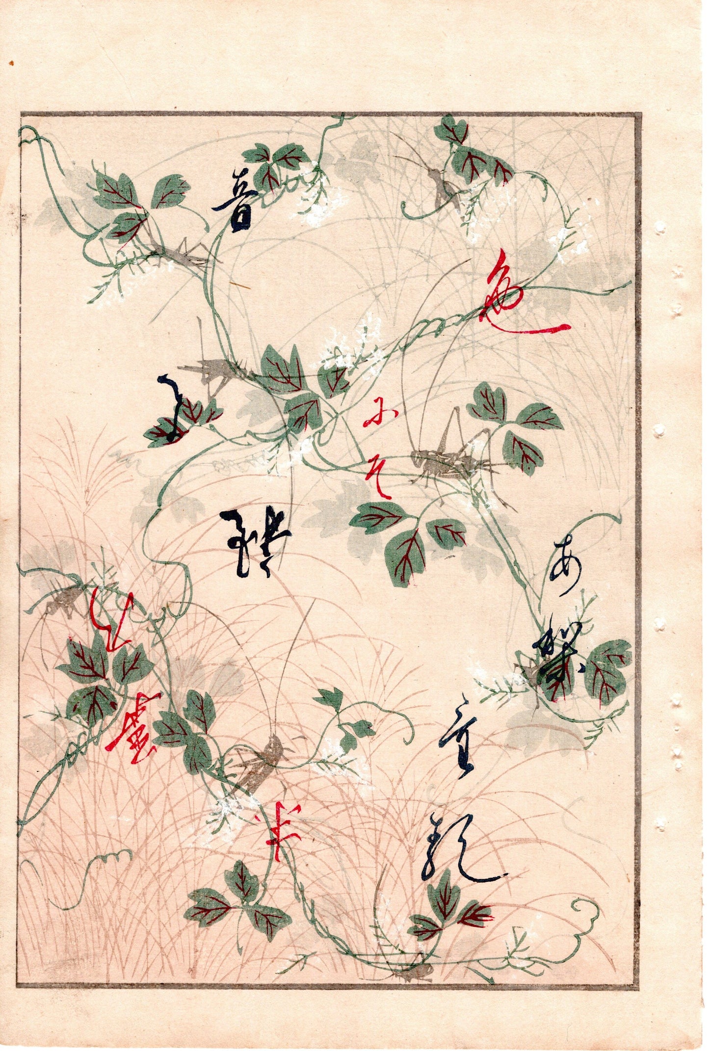 Japanese Antique Original Woodcut Print, c 1900, Bijutsukai 4, Sekka, Korin
