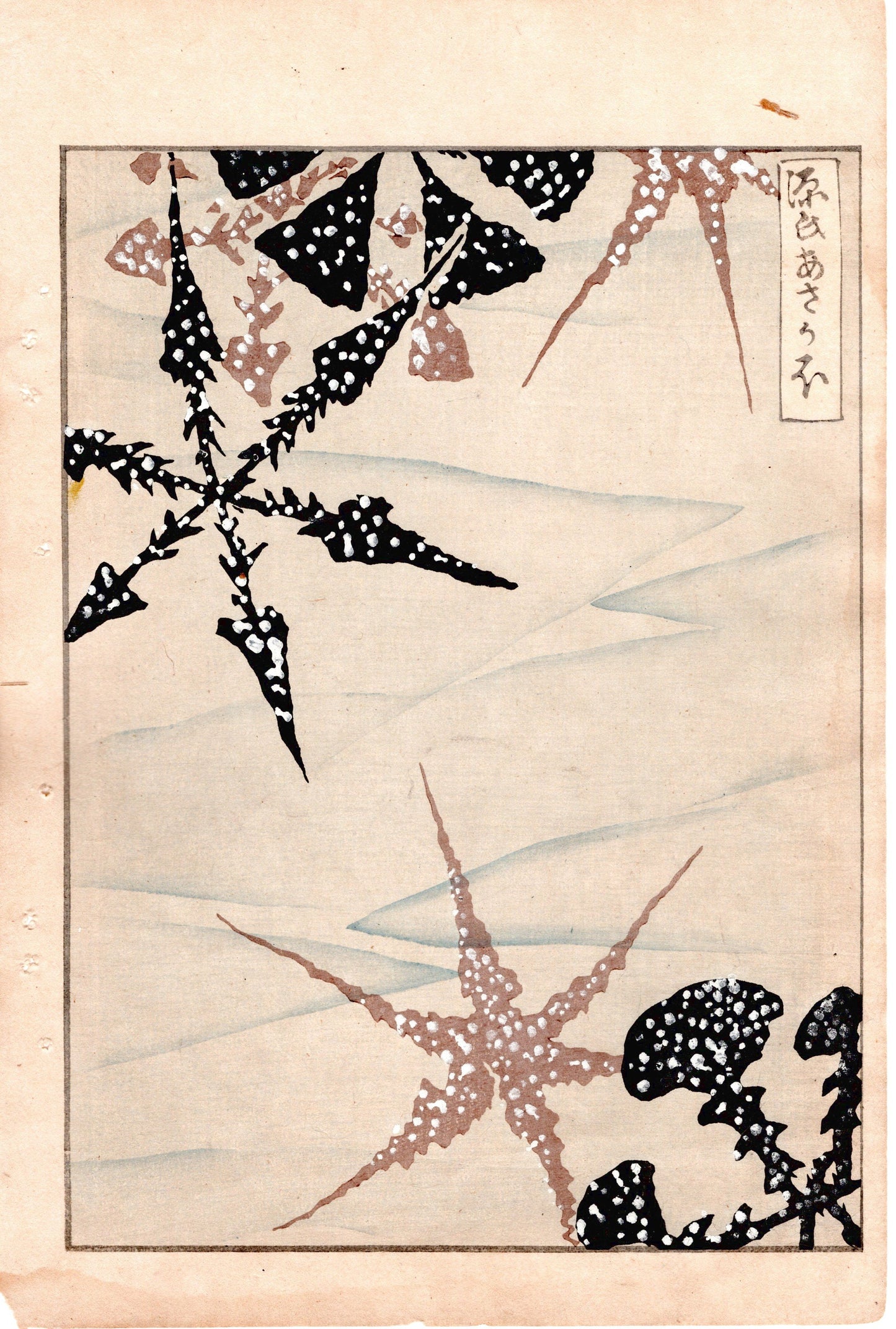 Japanese Antique Original Woodcut Print, c 1900, Bijutsukai 4, Sekka, Korin