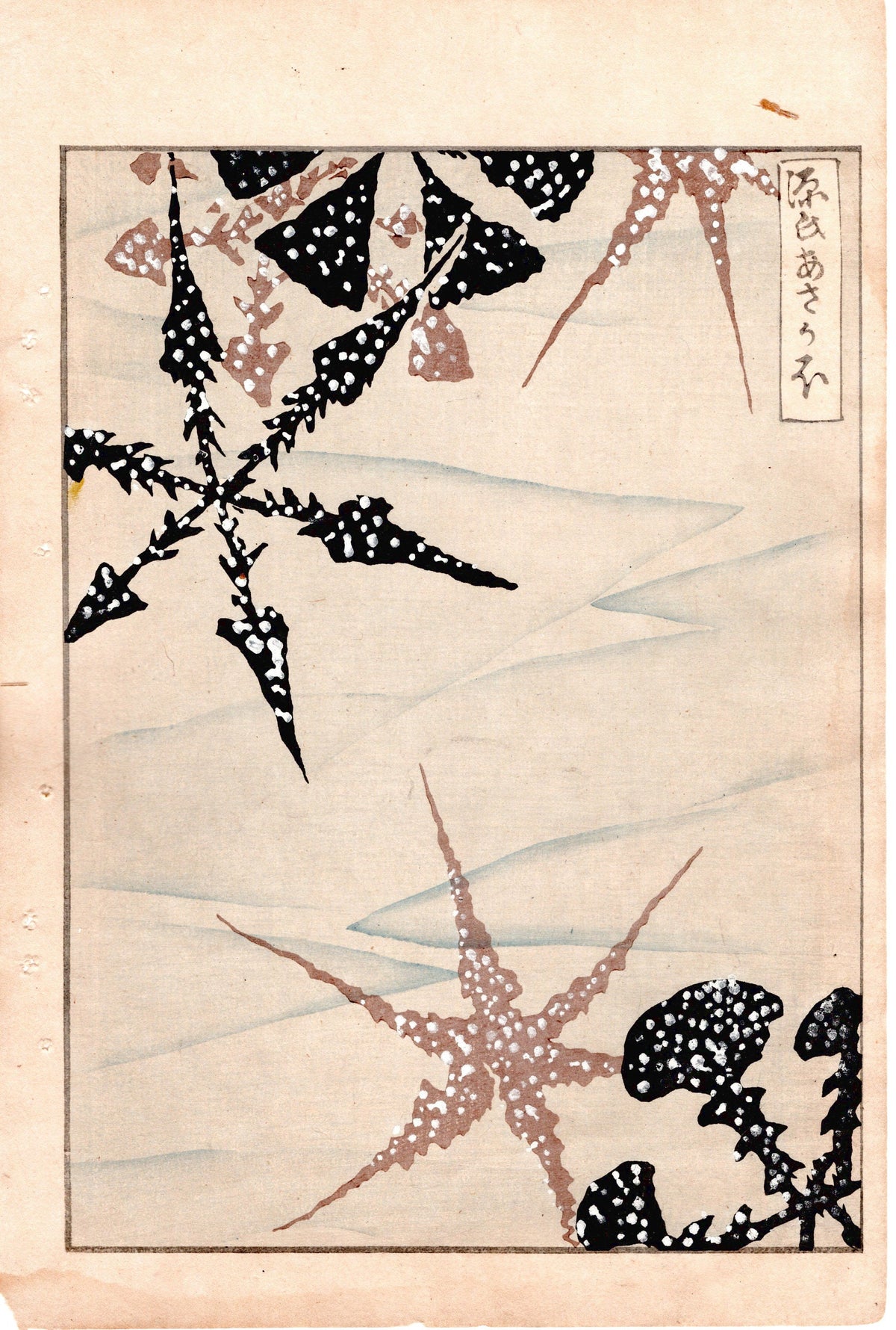 Japanese Antique Original Woodcut Print, c 1900, Bijutsukai 4, Sekka, Korin