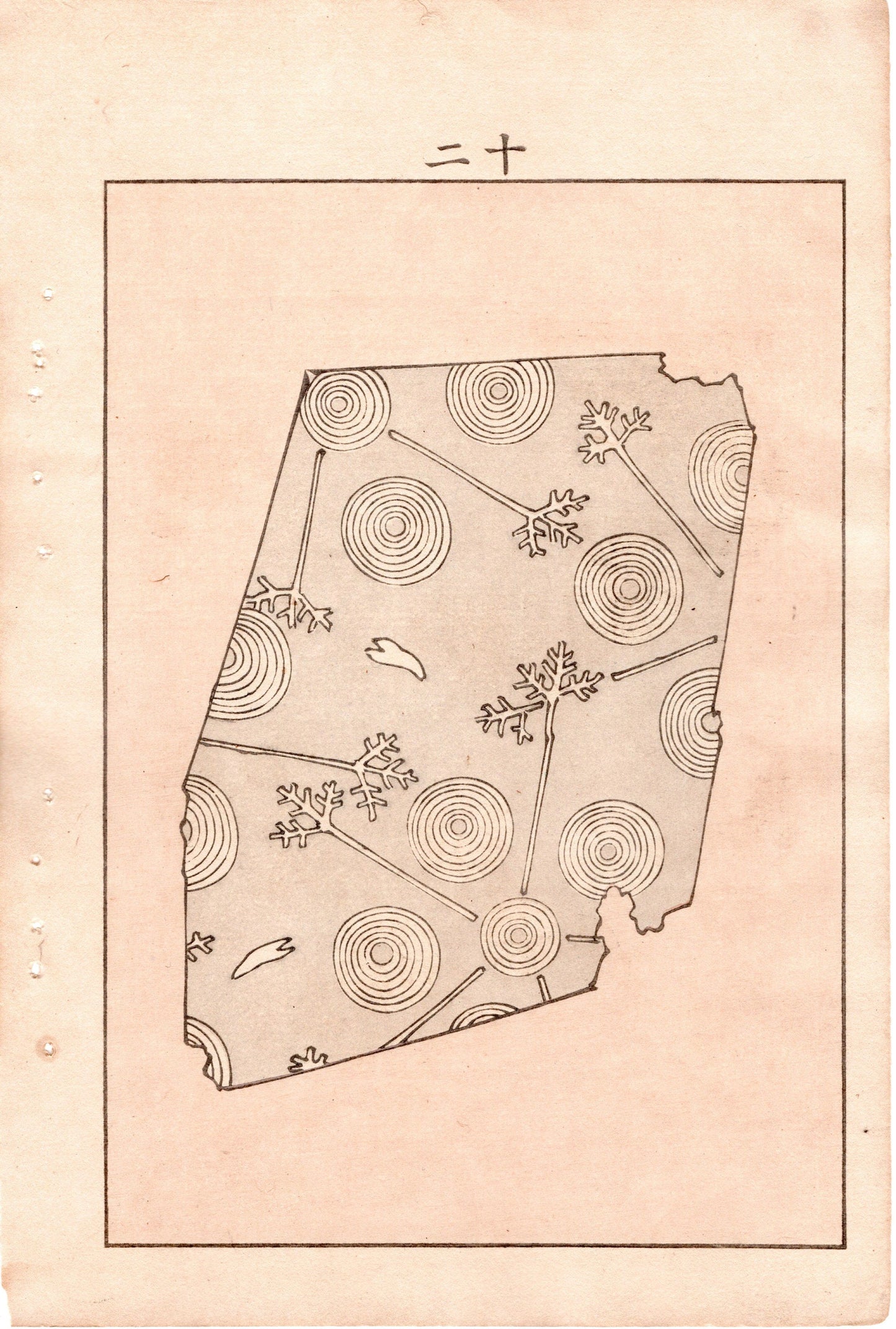 Japanese Antique Original Woodcut Print, c 1900, Bijutsukai 4, Sekka, Korin