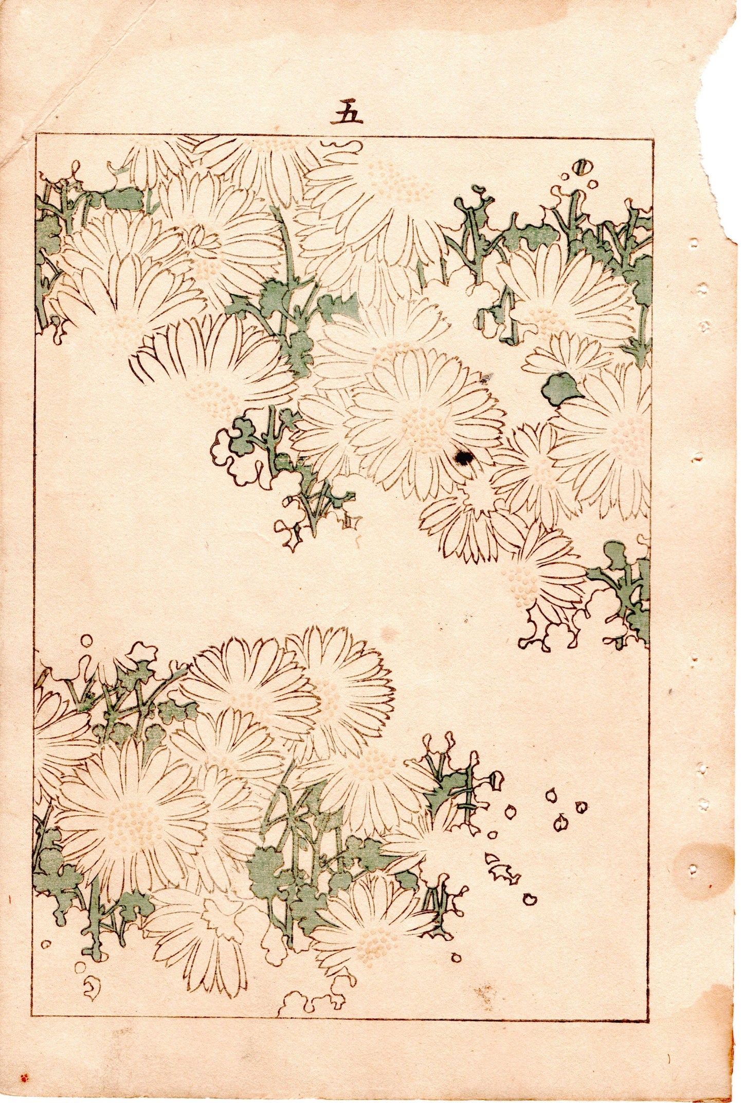 Japanese Antique Original Woodcut Print, c 1900, Bijutsukai 4, Sekka, Korin