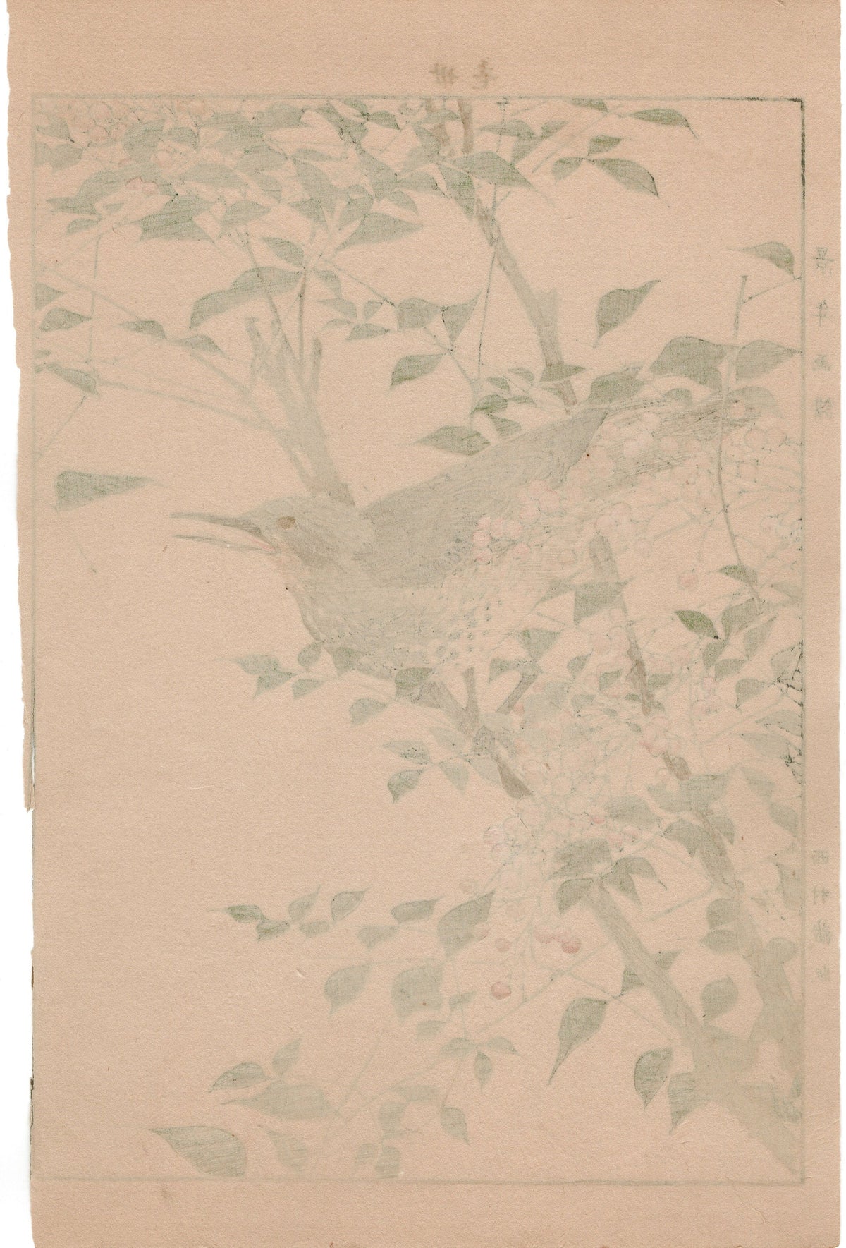 Japanese Antique Original Woodcut Print, 1892, Imao Keinen, "Heavenly bamboo, Bulbul"
