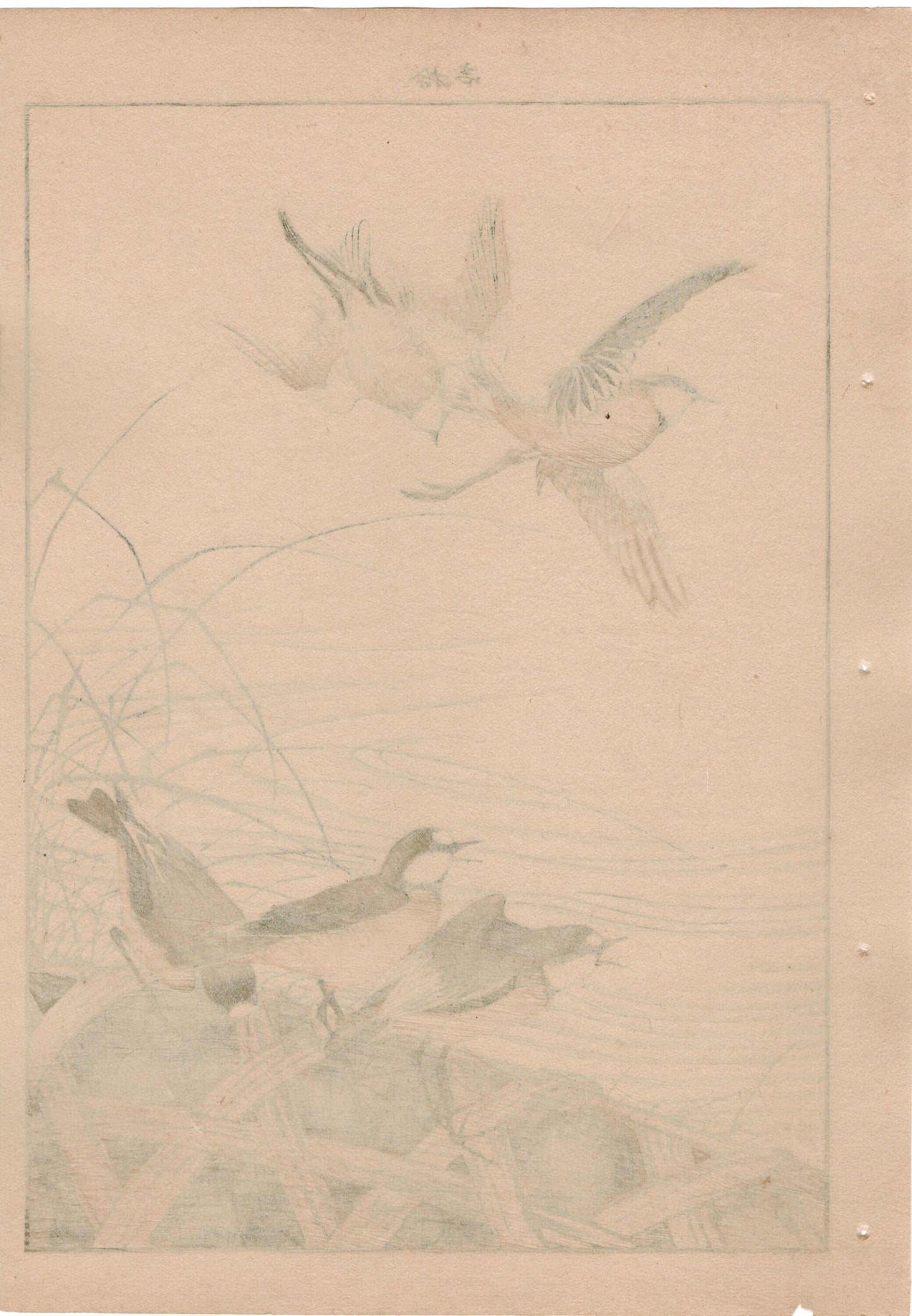 1892, Japanese Antique Original Woodblock Print, Imao Keinen, "Thatch, River plover"